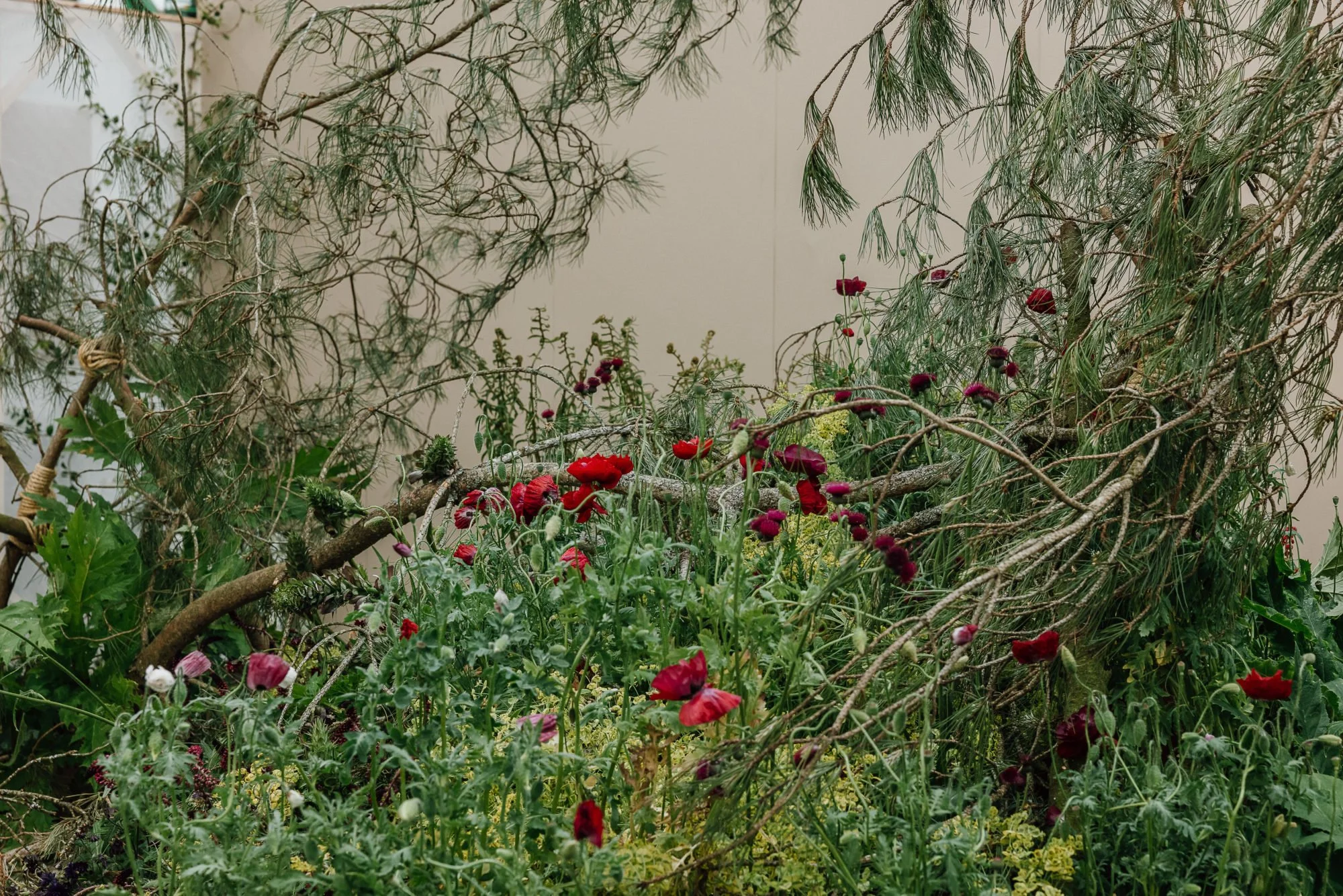 RHS CHELSEA FLOWER SHOW 2025