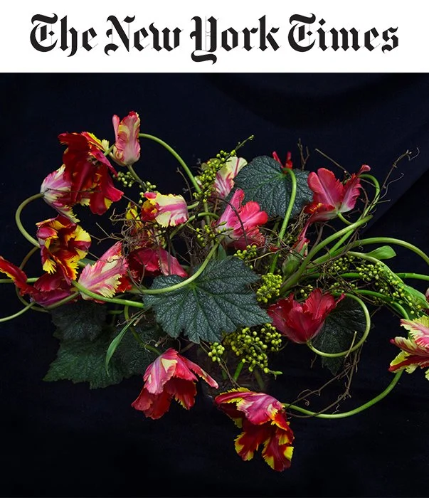 TMag-Gift-Guide-2019-1.jpg
