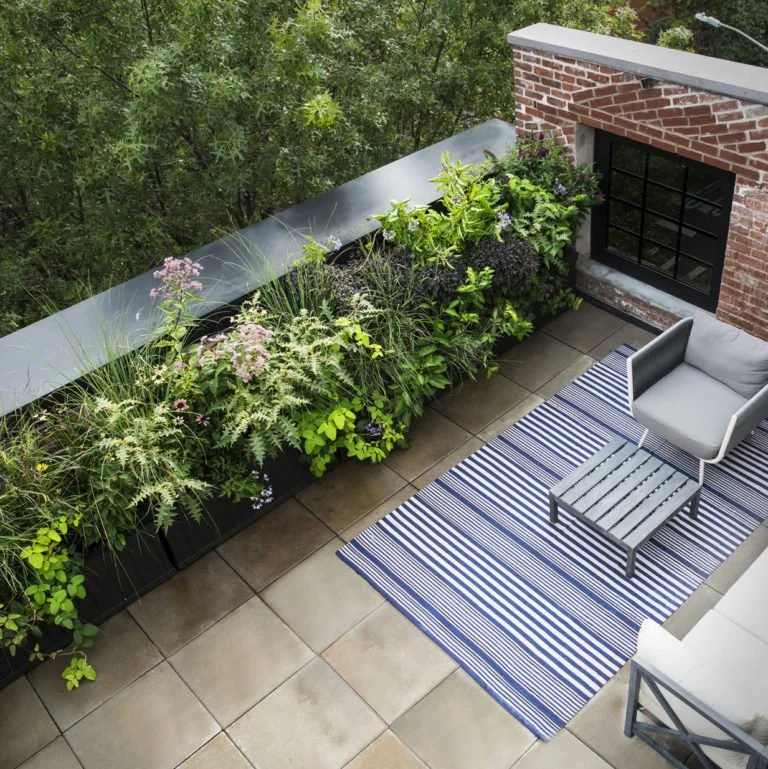 WILLOW STREET GARDEN