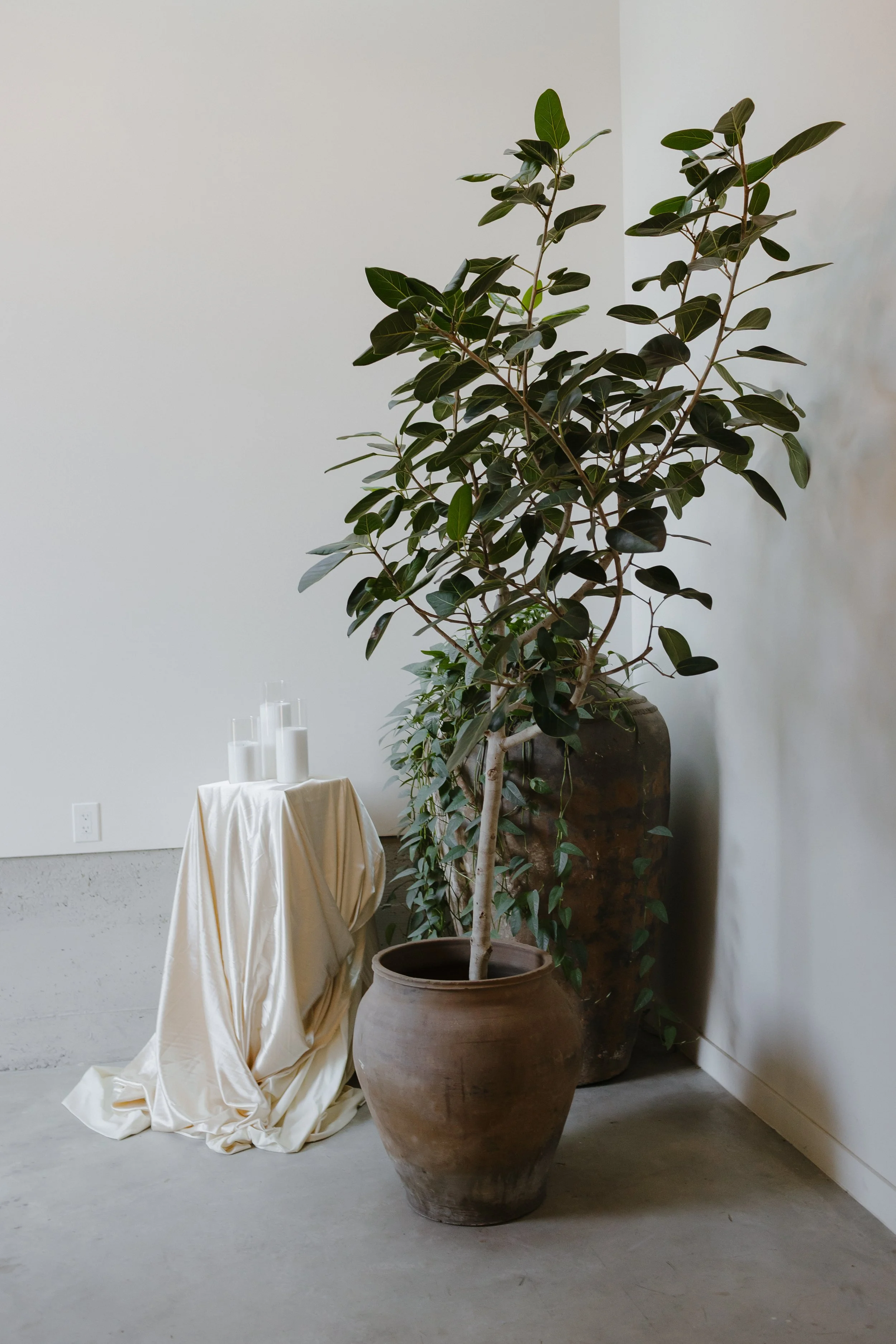 Photo Credit : Bonvicinvico