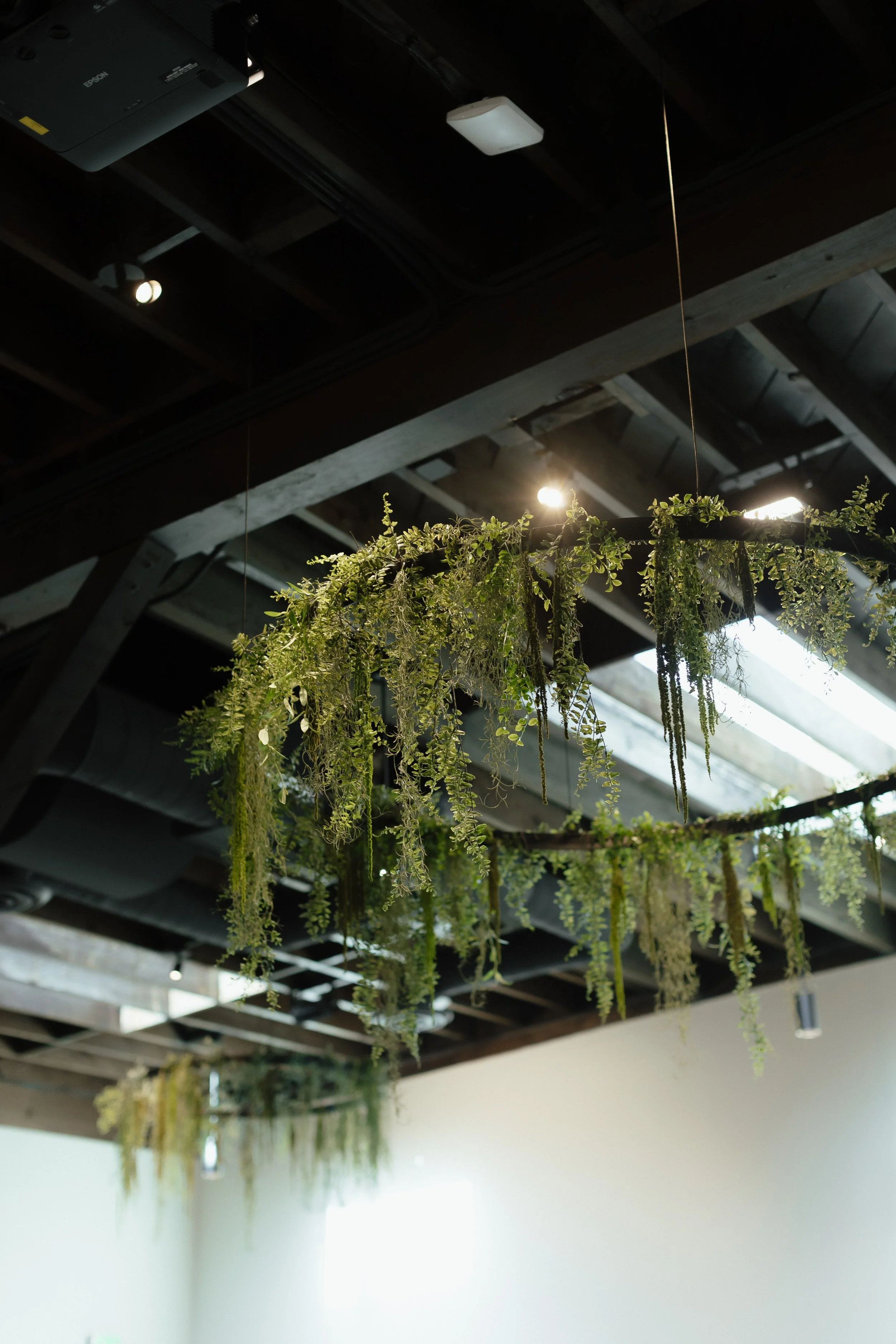 Photo Credit : Bonvicinvico