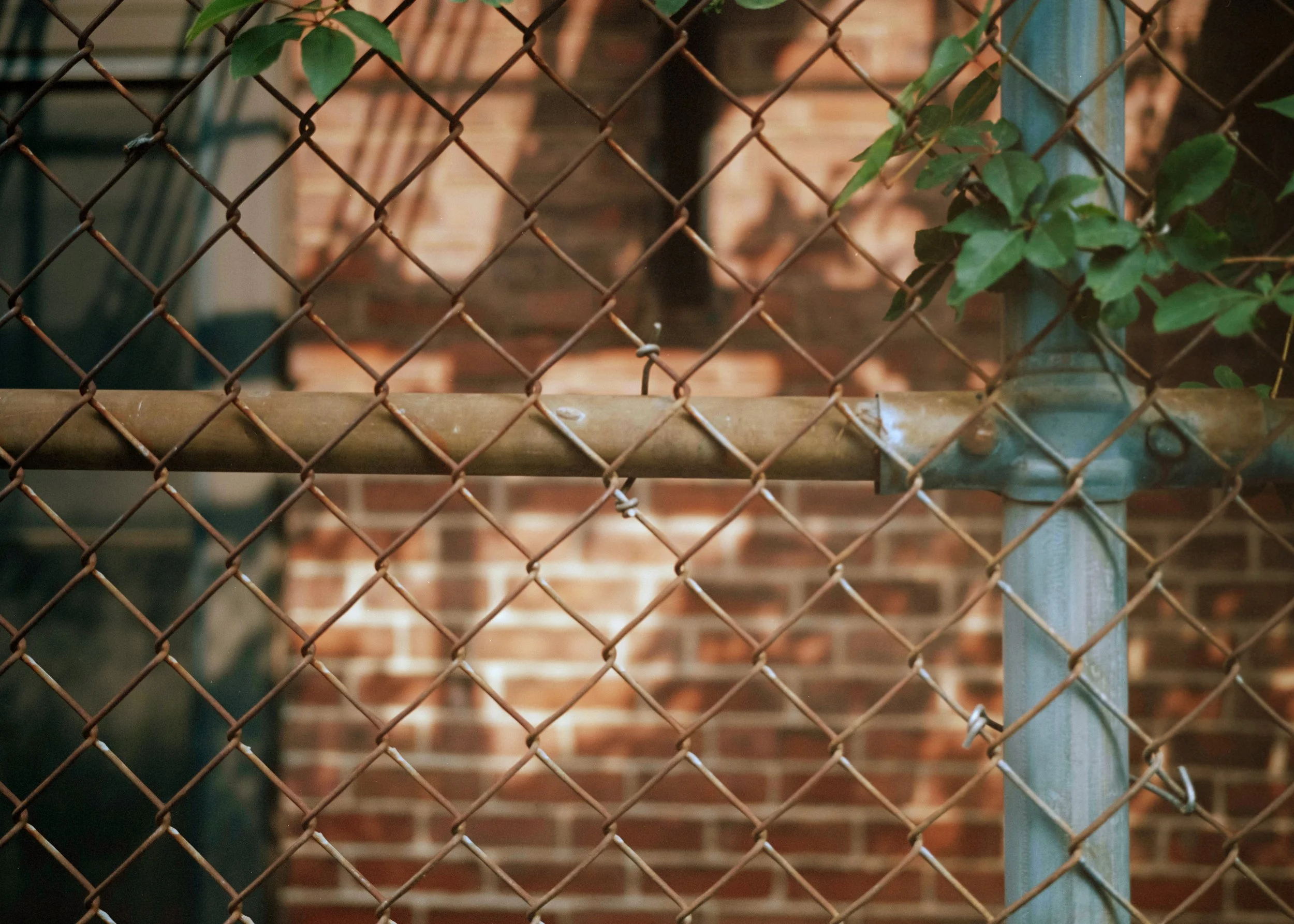 fence.jpeg