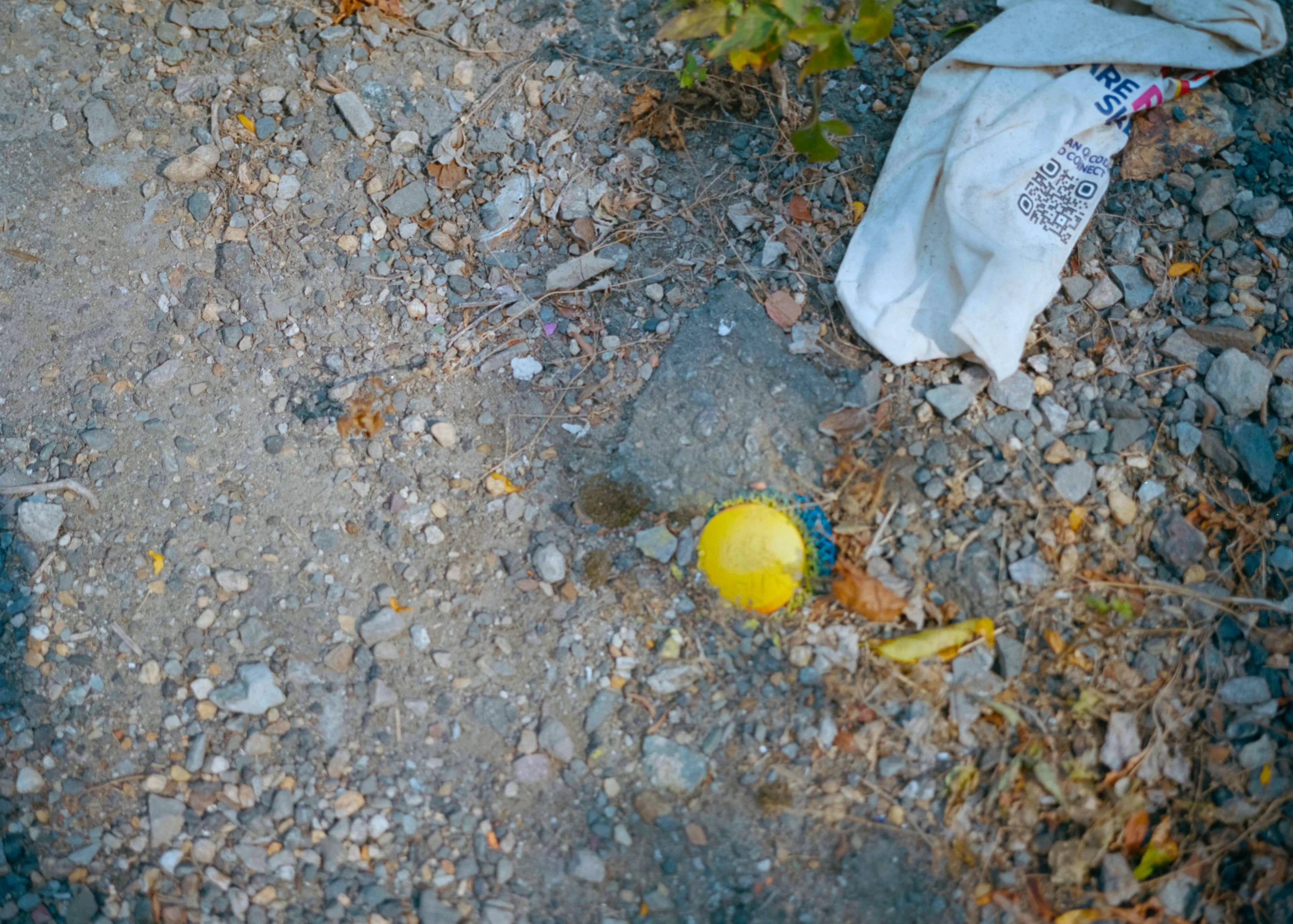 buried treasure 2.jpeg