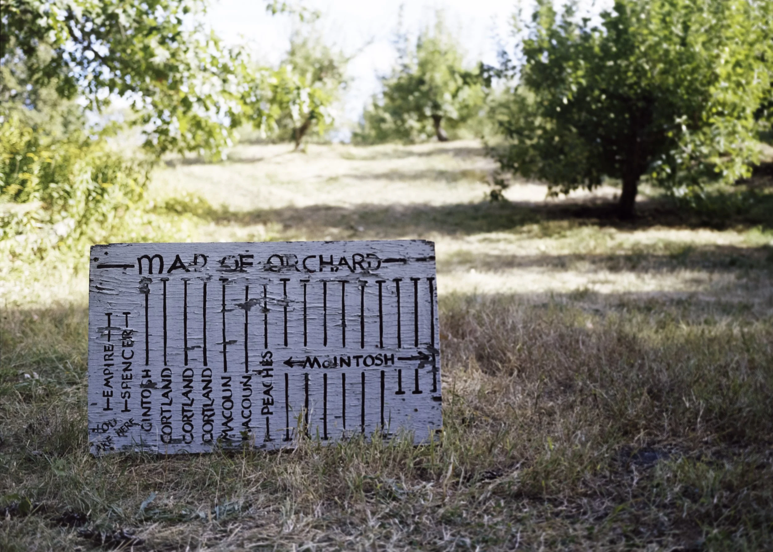 orchardmap**.jpeg