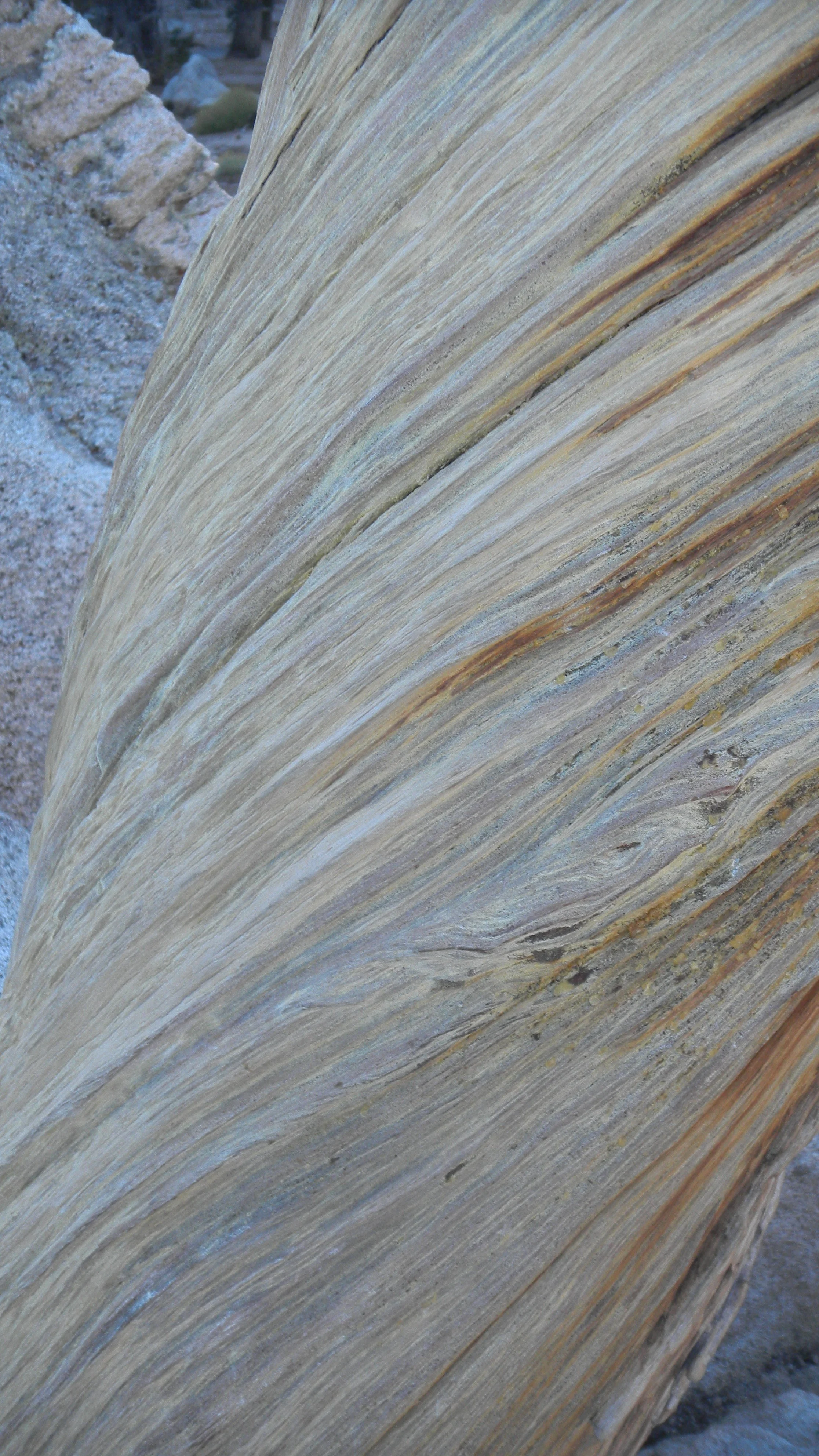 DSCN1230.JPG