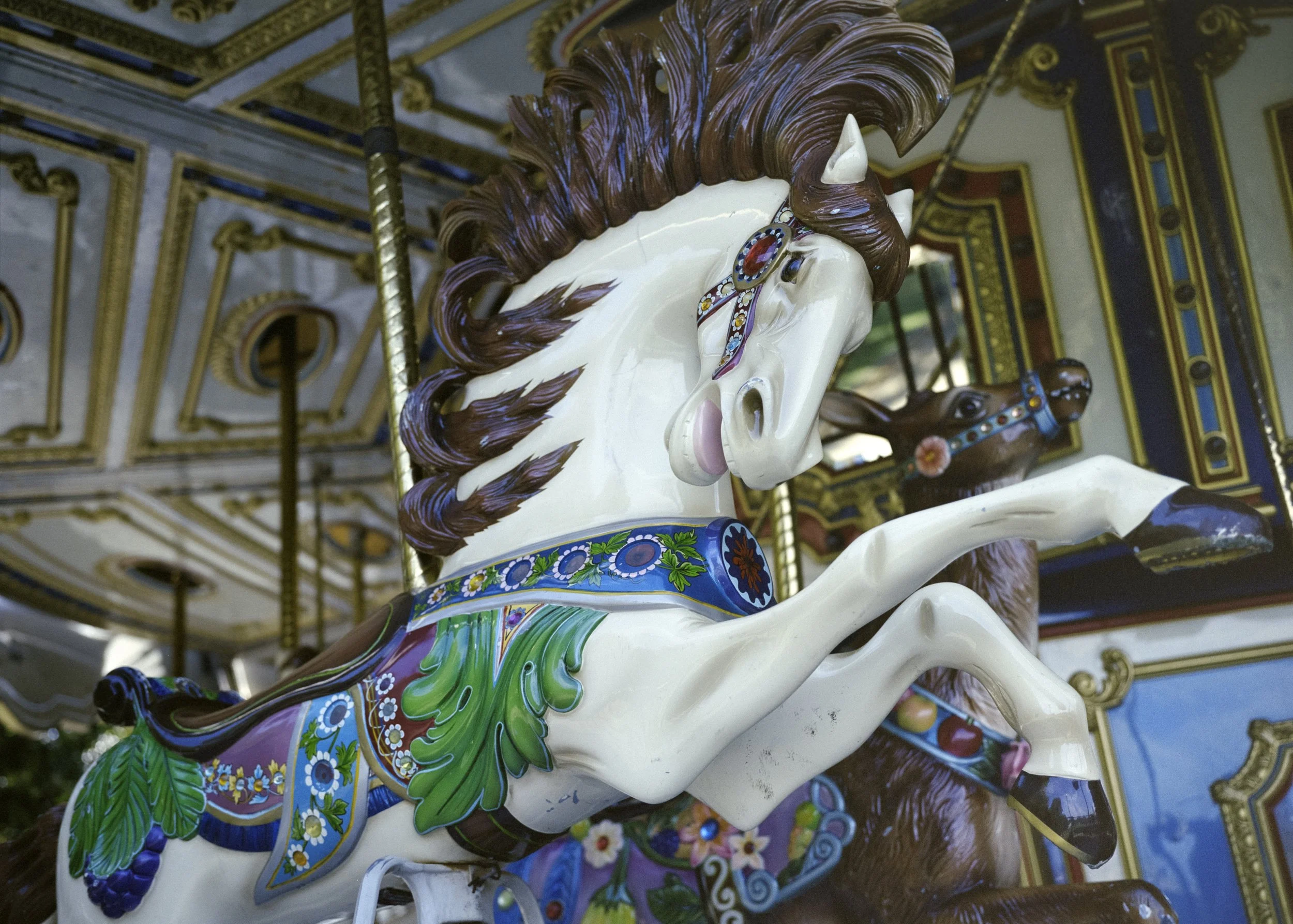 carousel*.jpeg