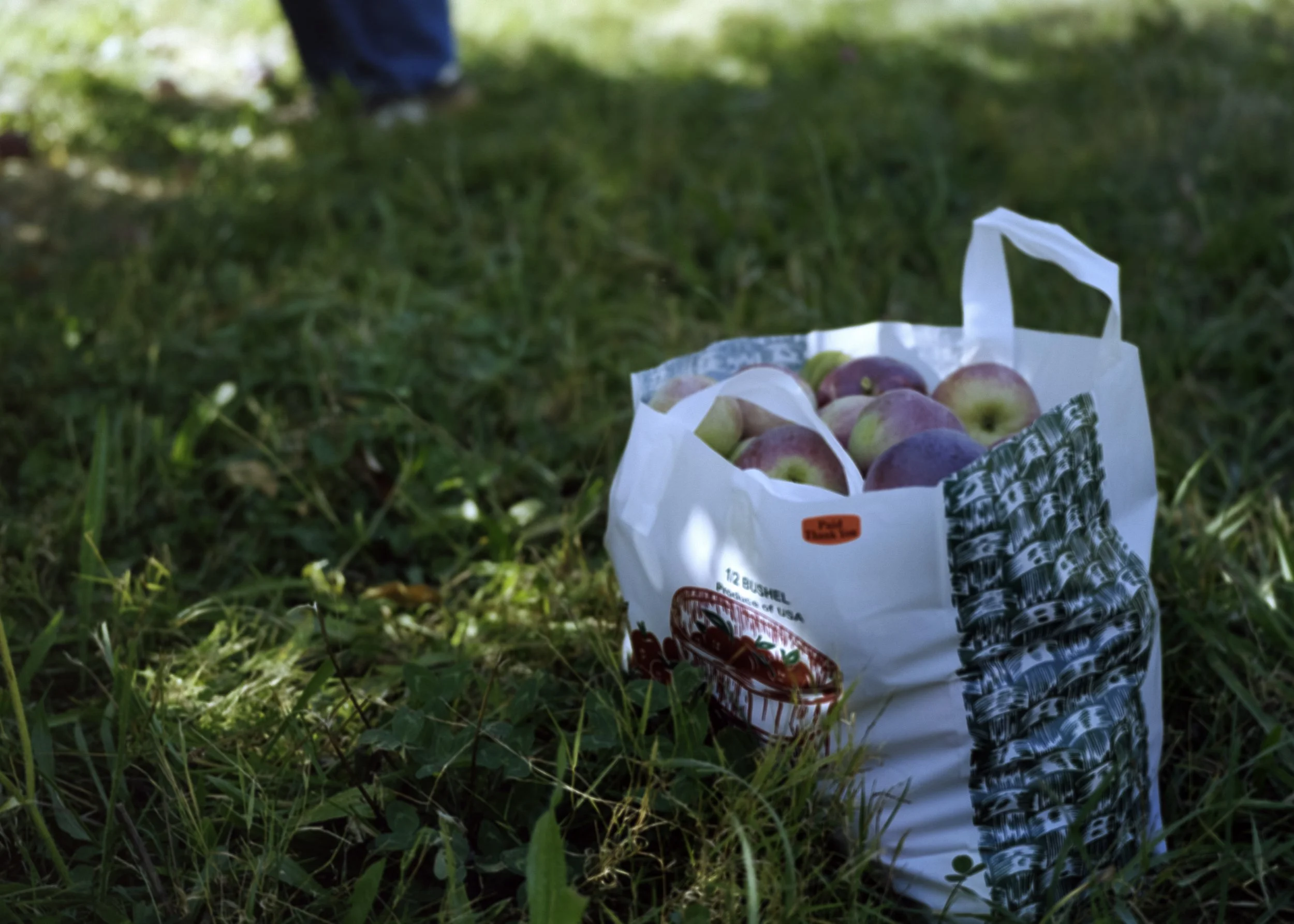 applebag* 2.jpeg