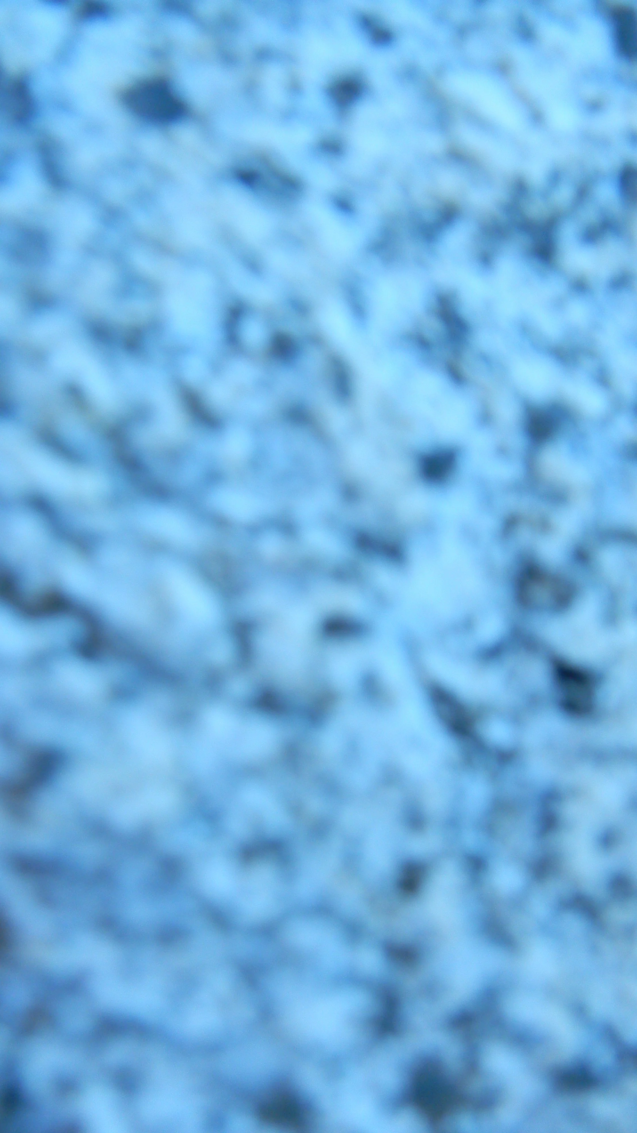 DSCN1229.JPG