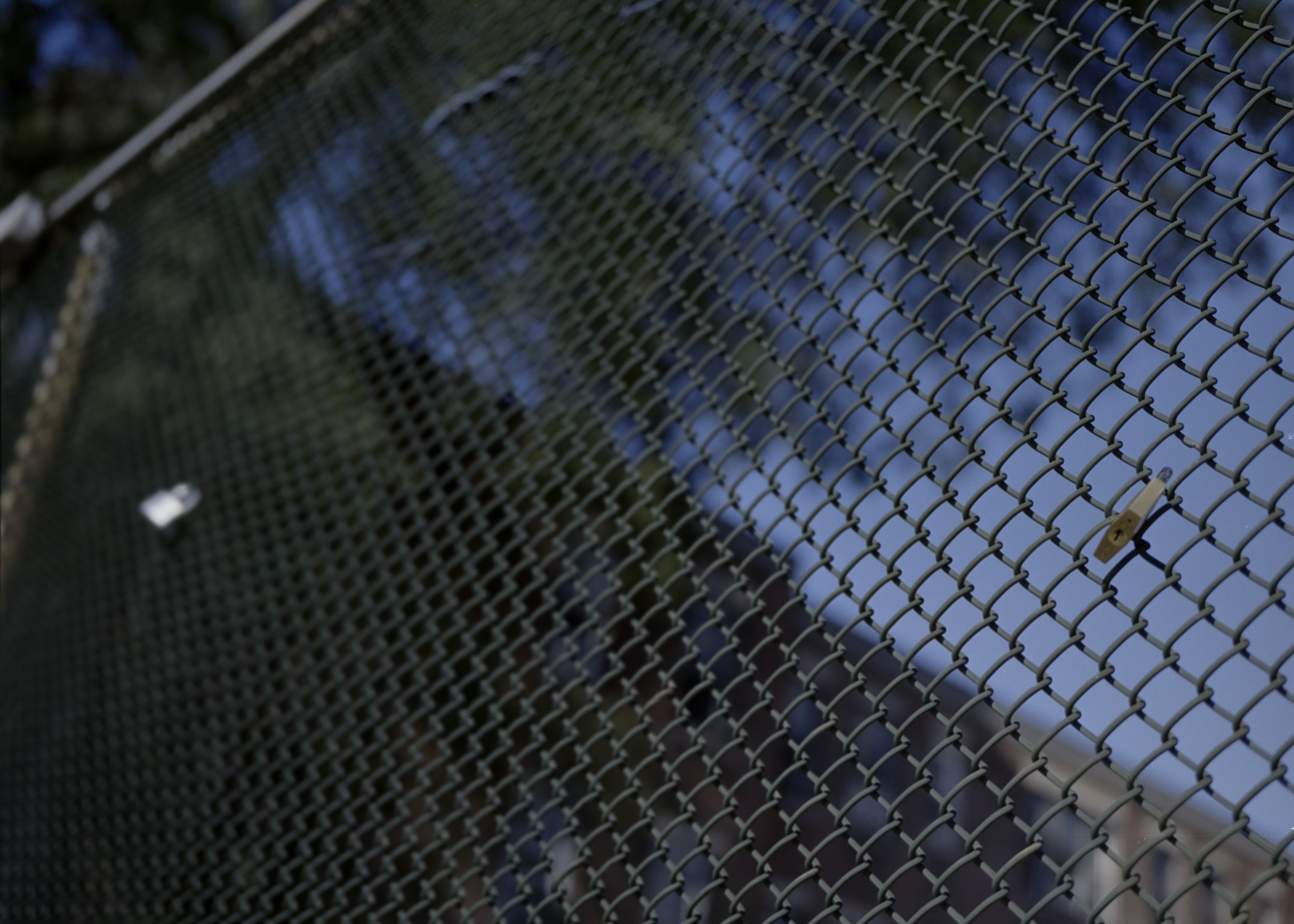 Fence*.jpeg