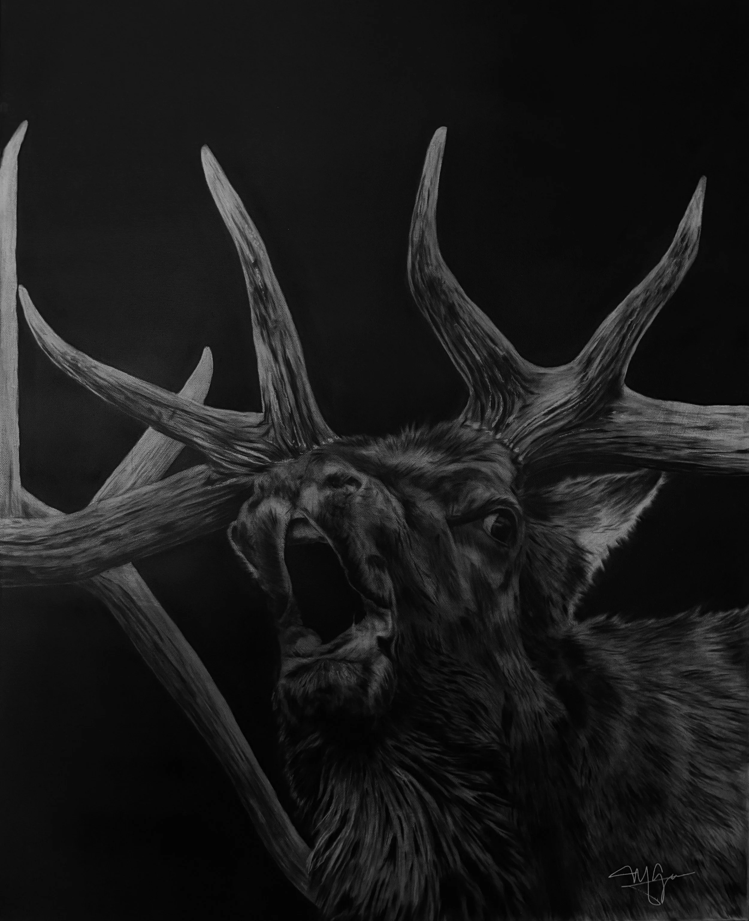 Cry In The Wilderness