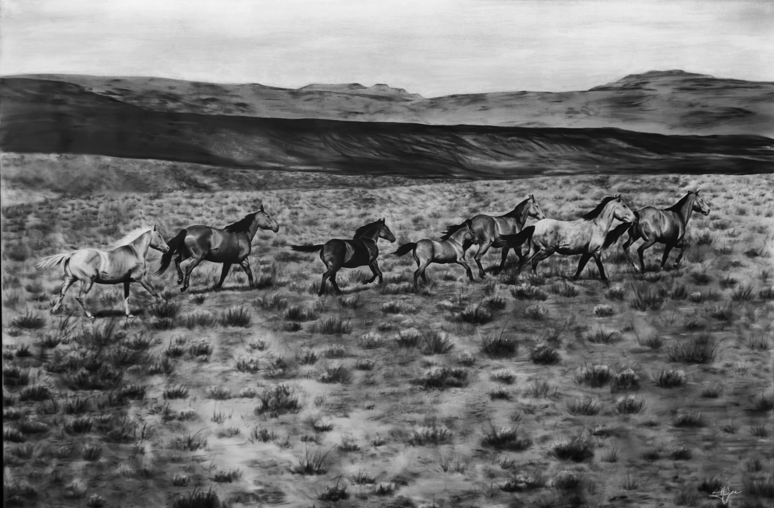 Gallop.jpg