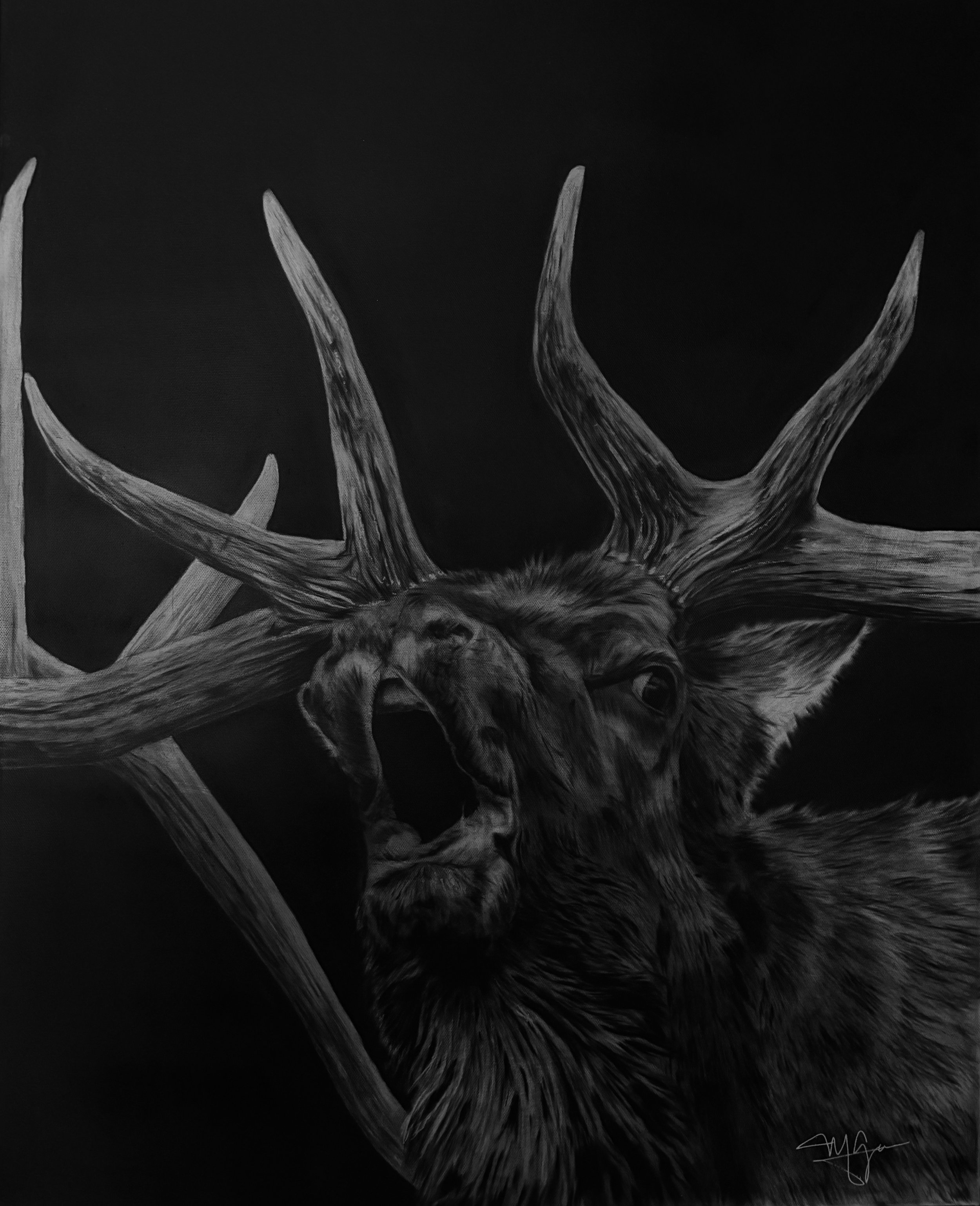 Cry In The Wilderness