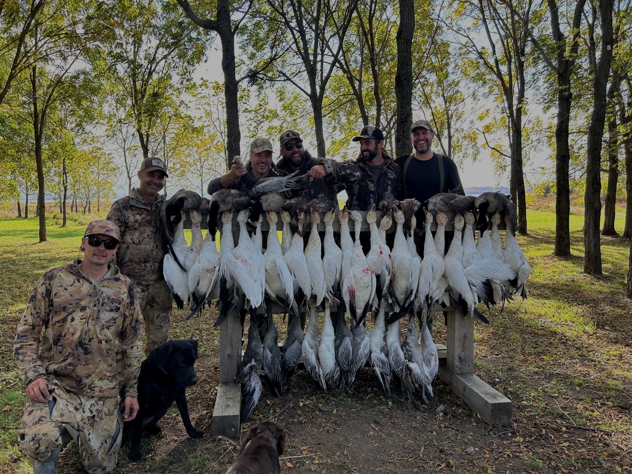 Group of hunters posing with a collection of ducks and geese in a wooded outdoor area.