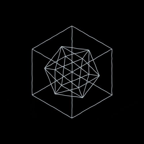 A white wireframe geometric shape inside a cube on a black background.