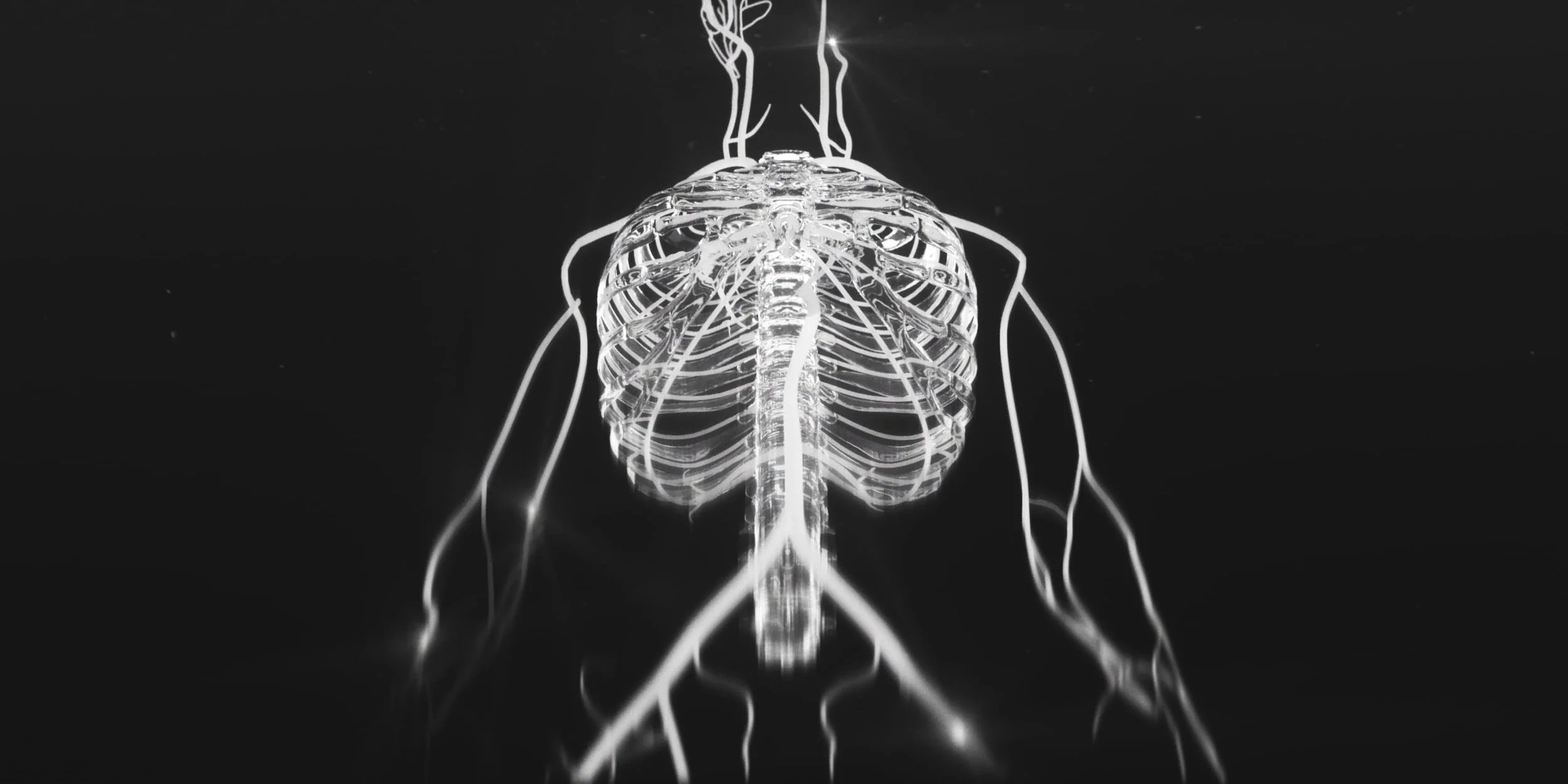 Nerve-C_Male-V2-a_2018-01-31_22.27.45.jpg