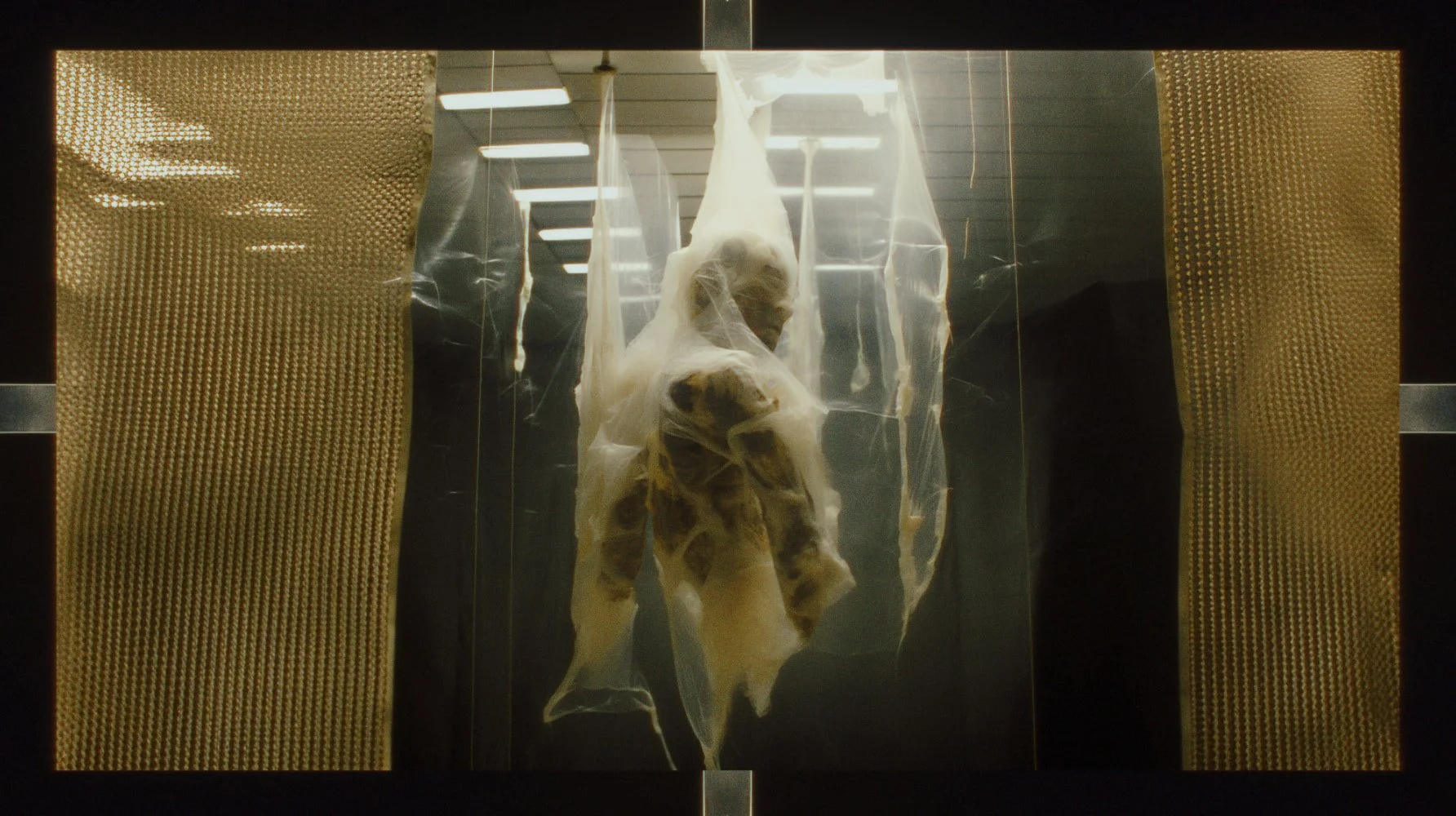 Anatomy_An-atomy_S_2023-12-07_13.21.34.jpg