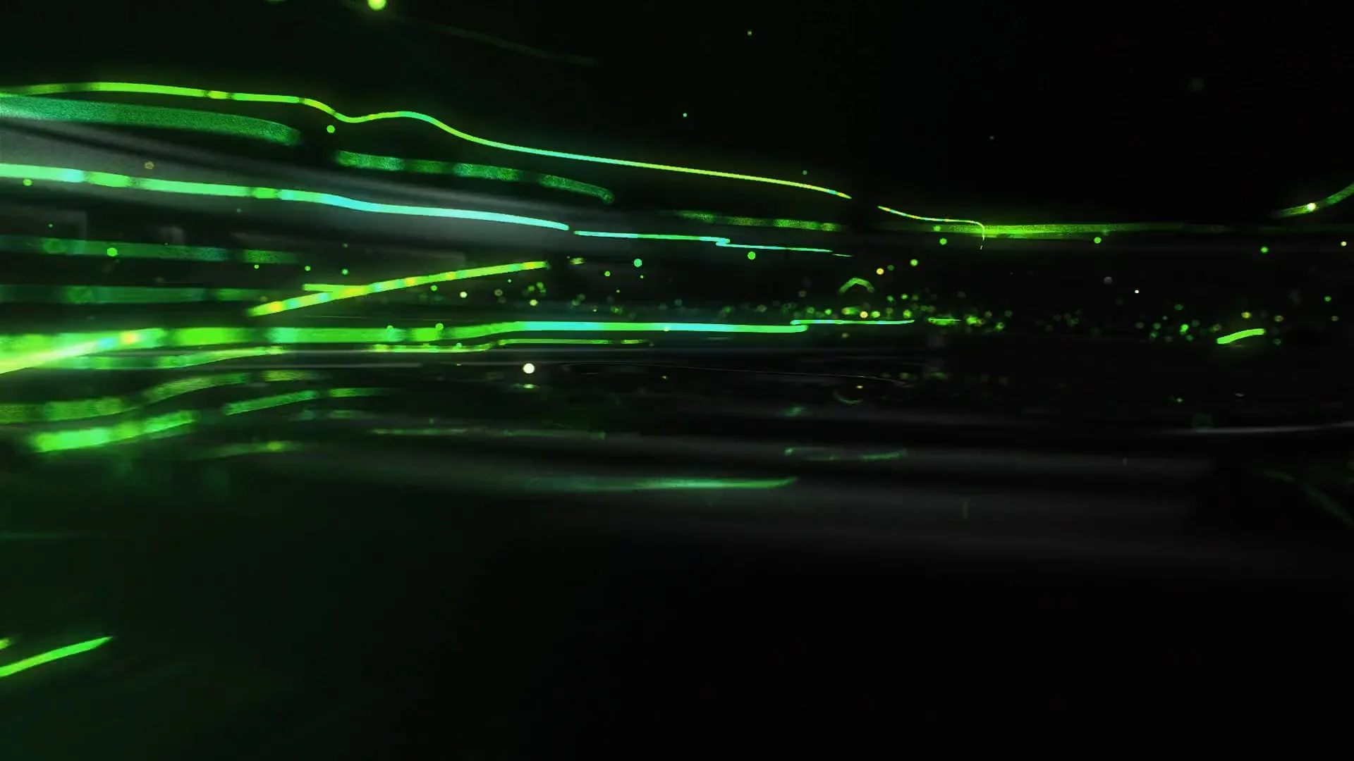 ae49154a-9a6a-4770-8173-960c469dc1ad_rw_1920.jpg