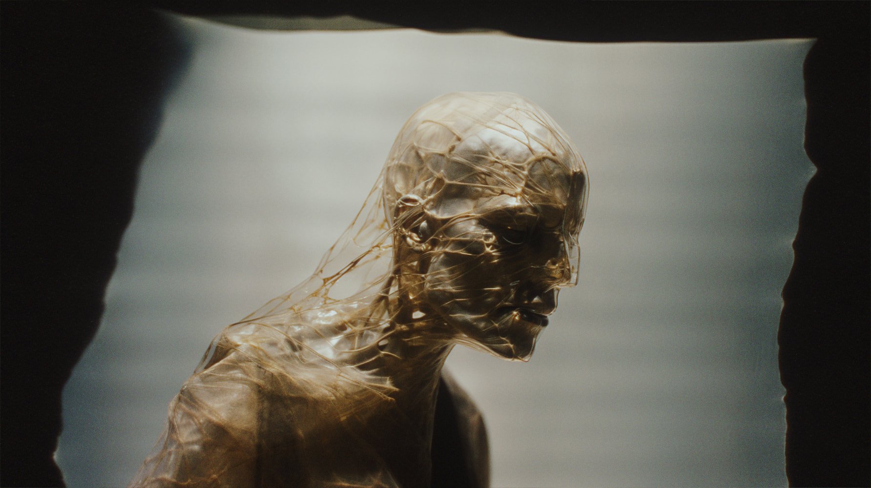 A transparent sculpture of a human head and shoulders, showing detailed internal structures, seen in a dimly lit environment.