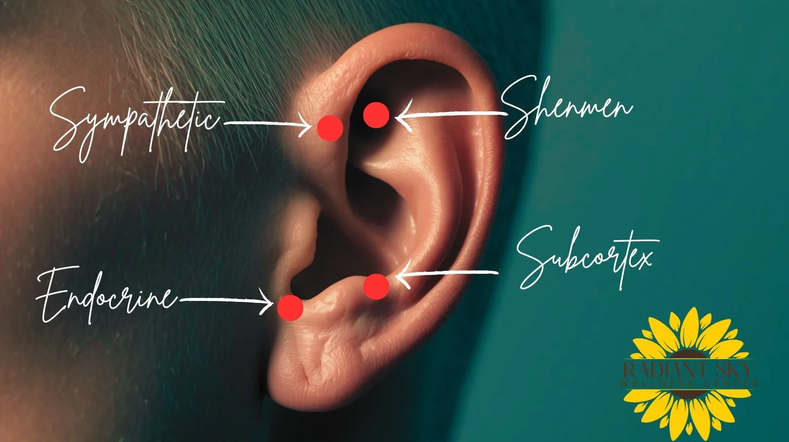 $20 Mini Ear Seed Sessions 