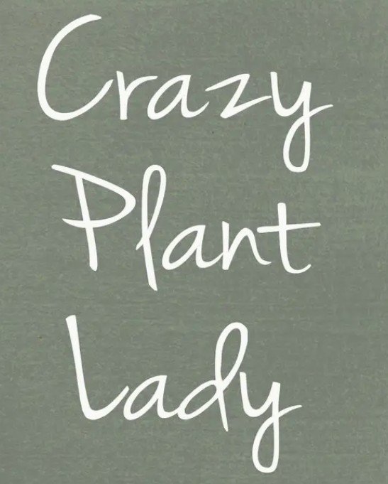 Screenshot 2026-03-25 080926.jpg