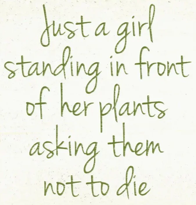 Screenshot 2026-03-25 081536.jpg