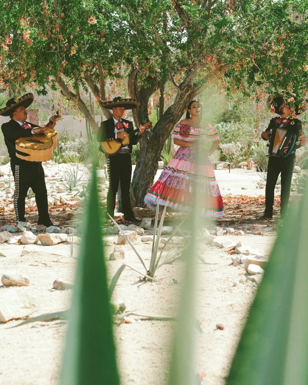 Want cocktail hour to feel unmistakably local? Bring in mariachi.
