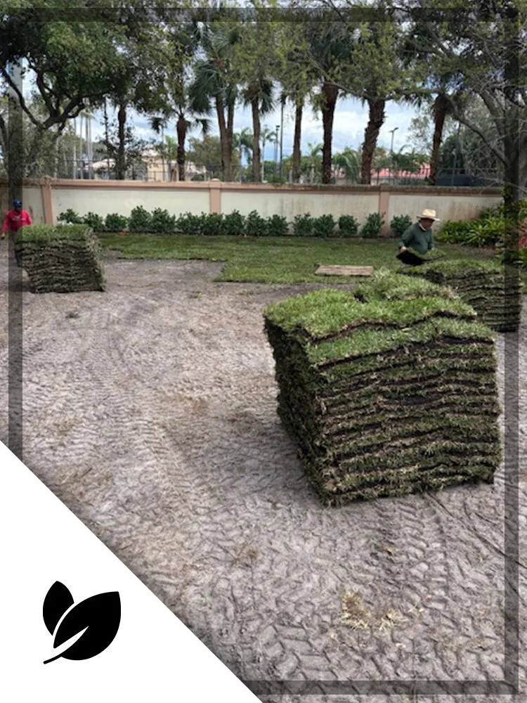 Photo of Environmental Mgmt Services Landscape Installation in Florida