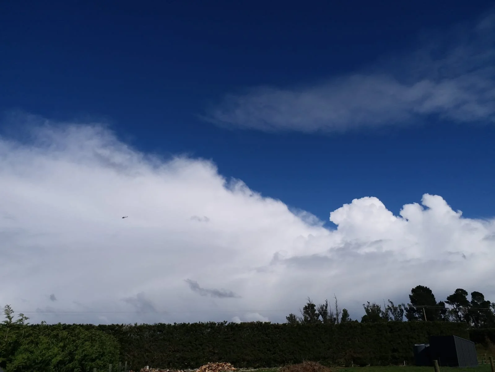 Ducks flying through ether 