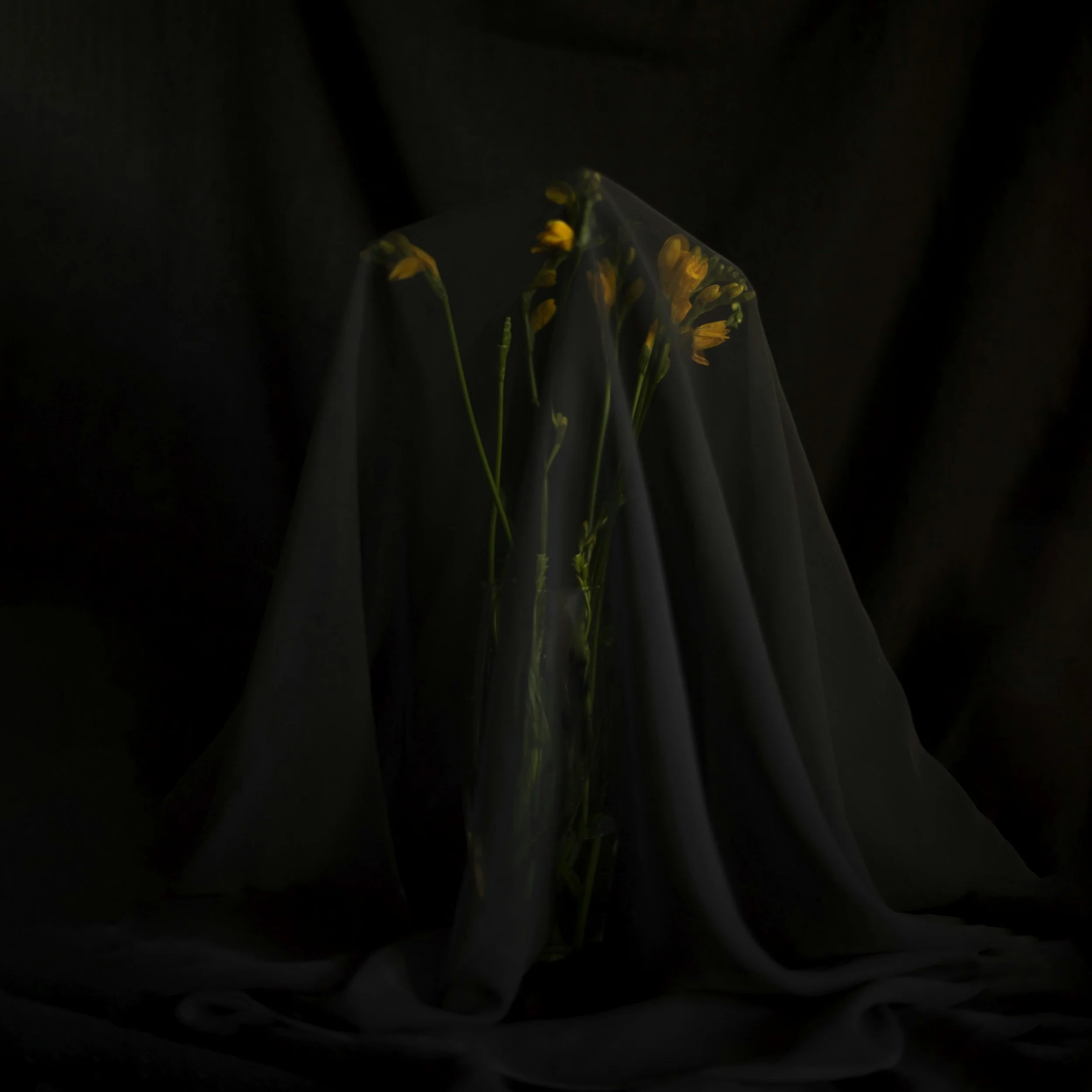 The Mournful Victor