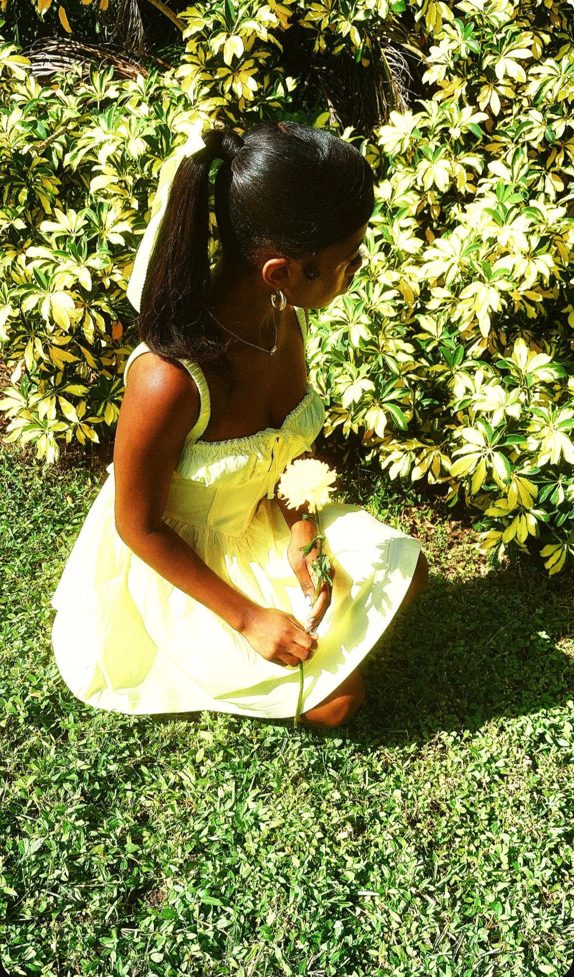 Finding Life in the Mundane