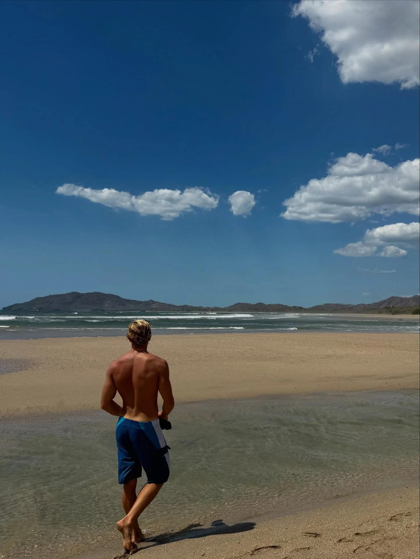 Ant highway is jammed