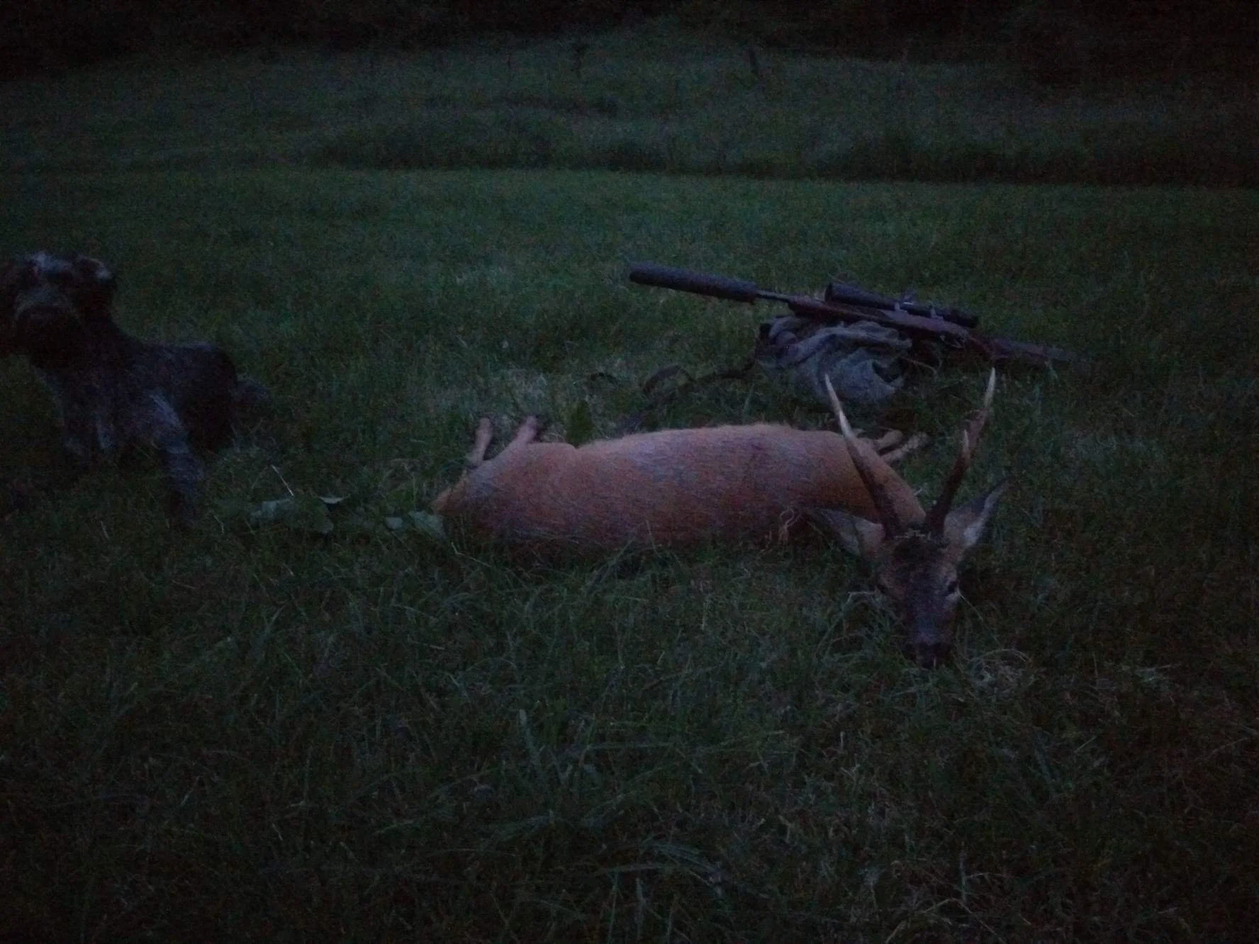 A dead deer lying on the ground with antlers, a rifle resting on a backpack, and a dog nearby at dusk or night.
