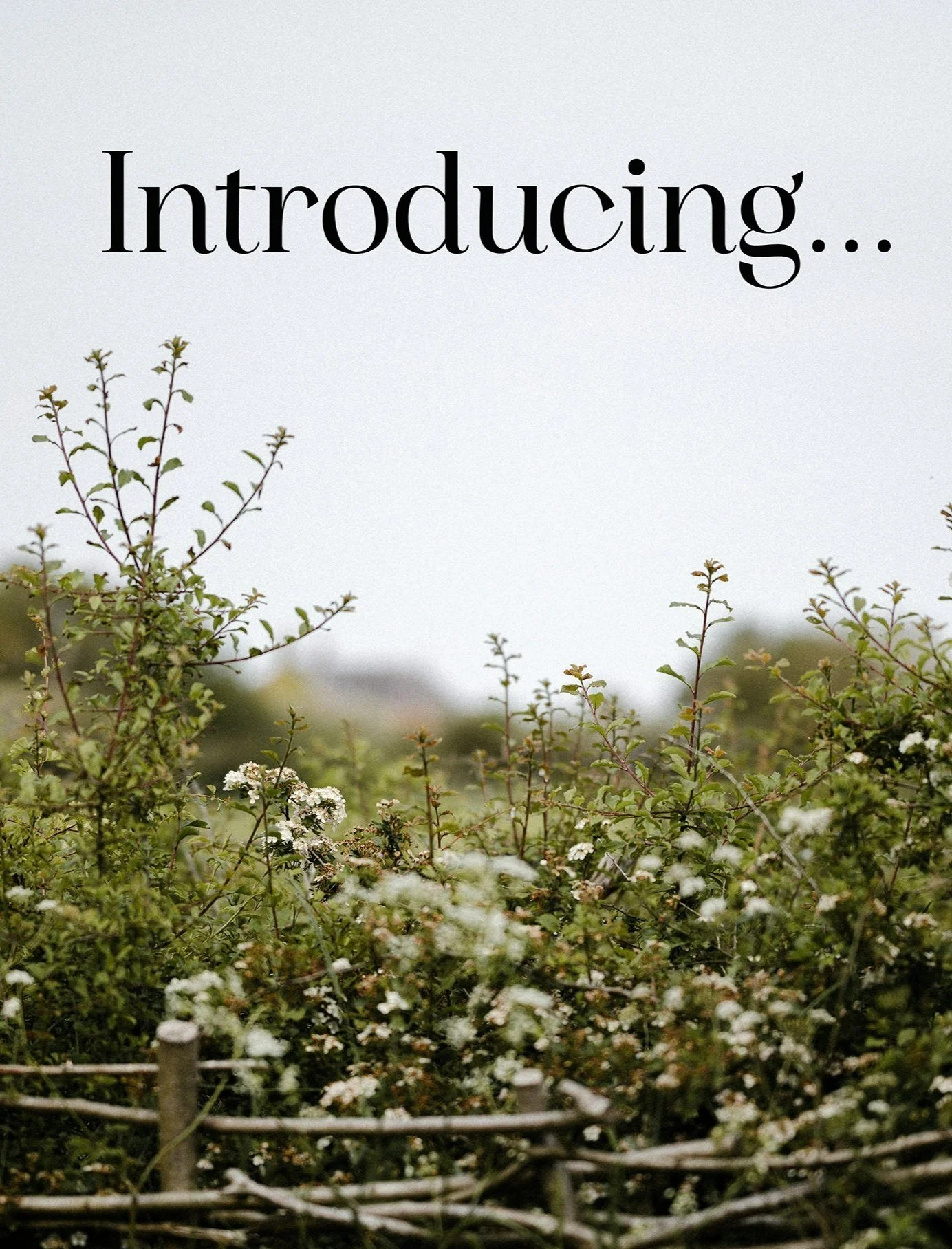 Conscious Cocktail Co. is Launching in Chichester – July 3rd