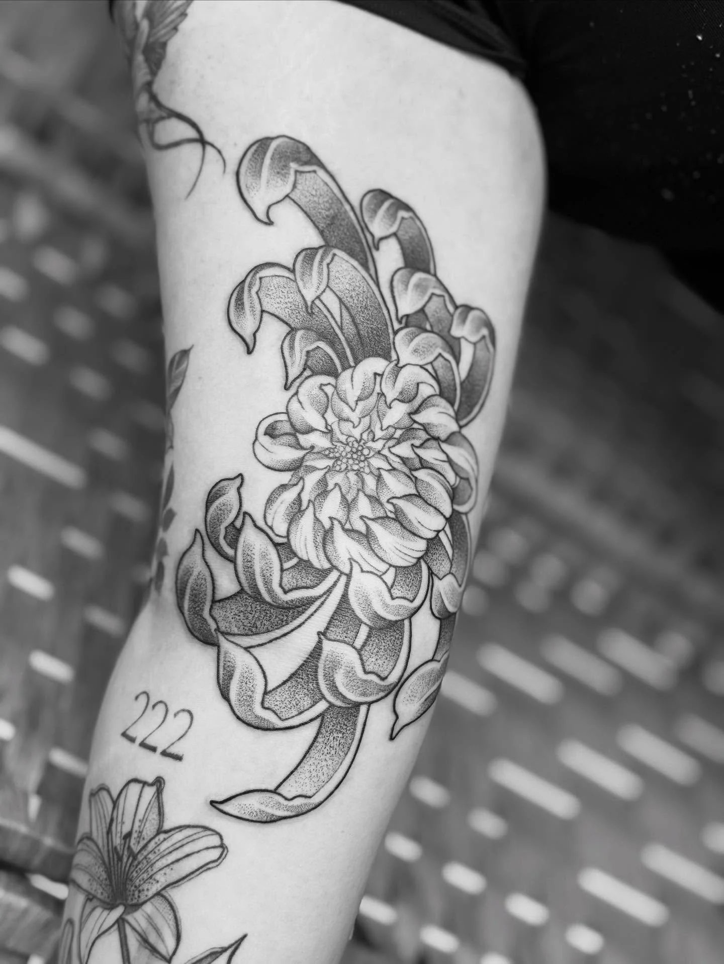 Two super fun gap fillers for @poppy.say_ 🦋
.
.
.
.
#butterfly #butterflytattoo #tattooideas #chrysanthemum #flowertattoo #gapfillertattoo #fineliner #tattoos