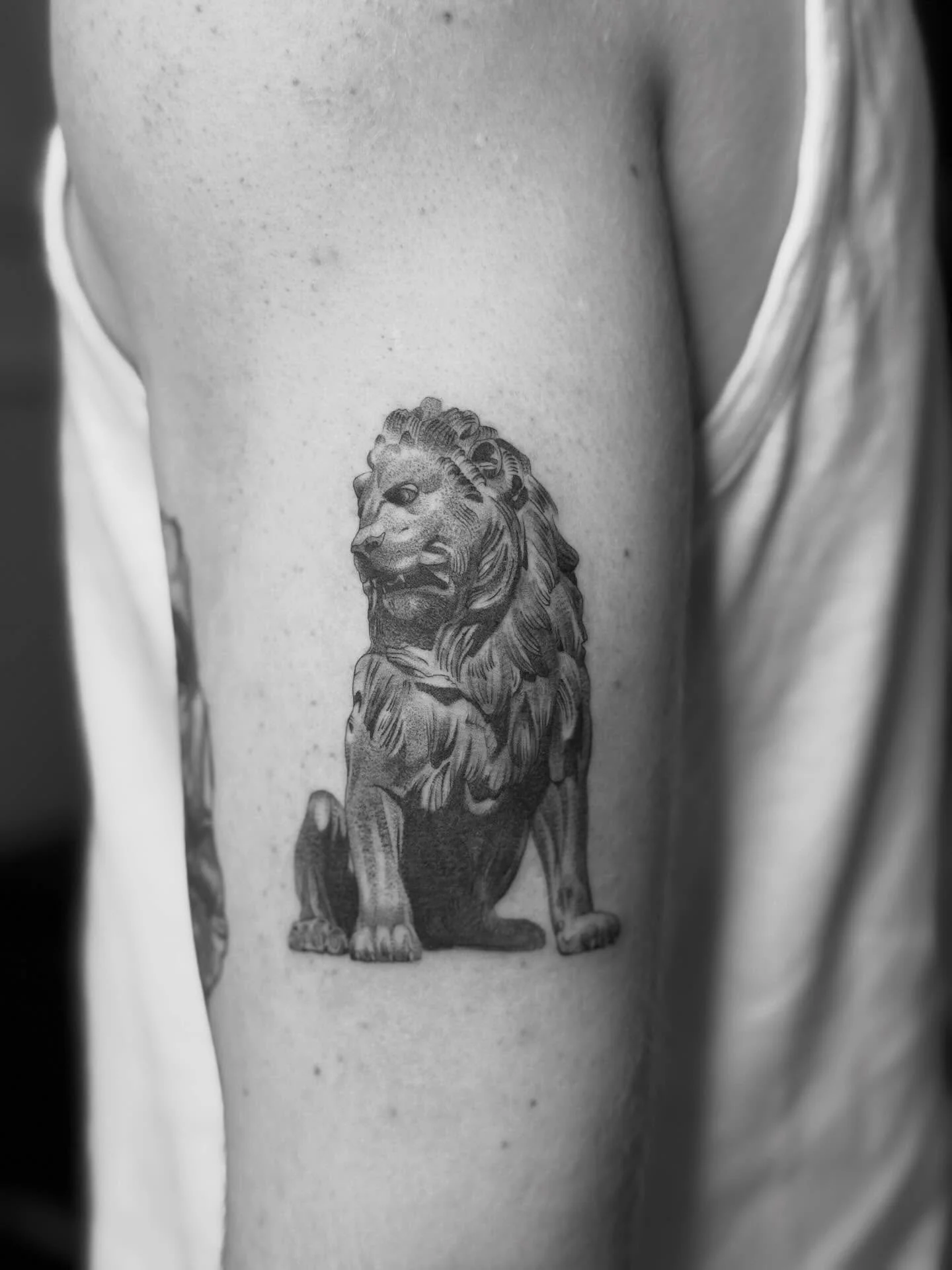 Lion statue for @frankie_w_scott by @dan_pease_tattoo 
.
.
Dan loves these little Dotwork realistic pieces so get in touch of you fancy something similar! 
.
.
.
#minimalisttattoo #tattooinspo #tattooideas #dotworktattoo #finelinetattoos