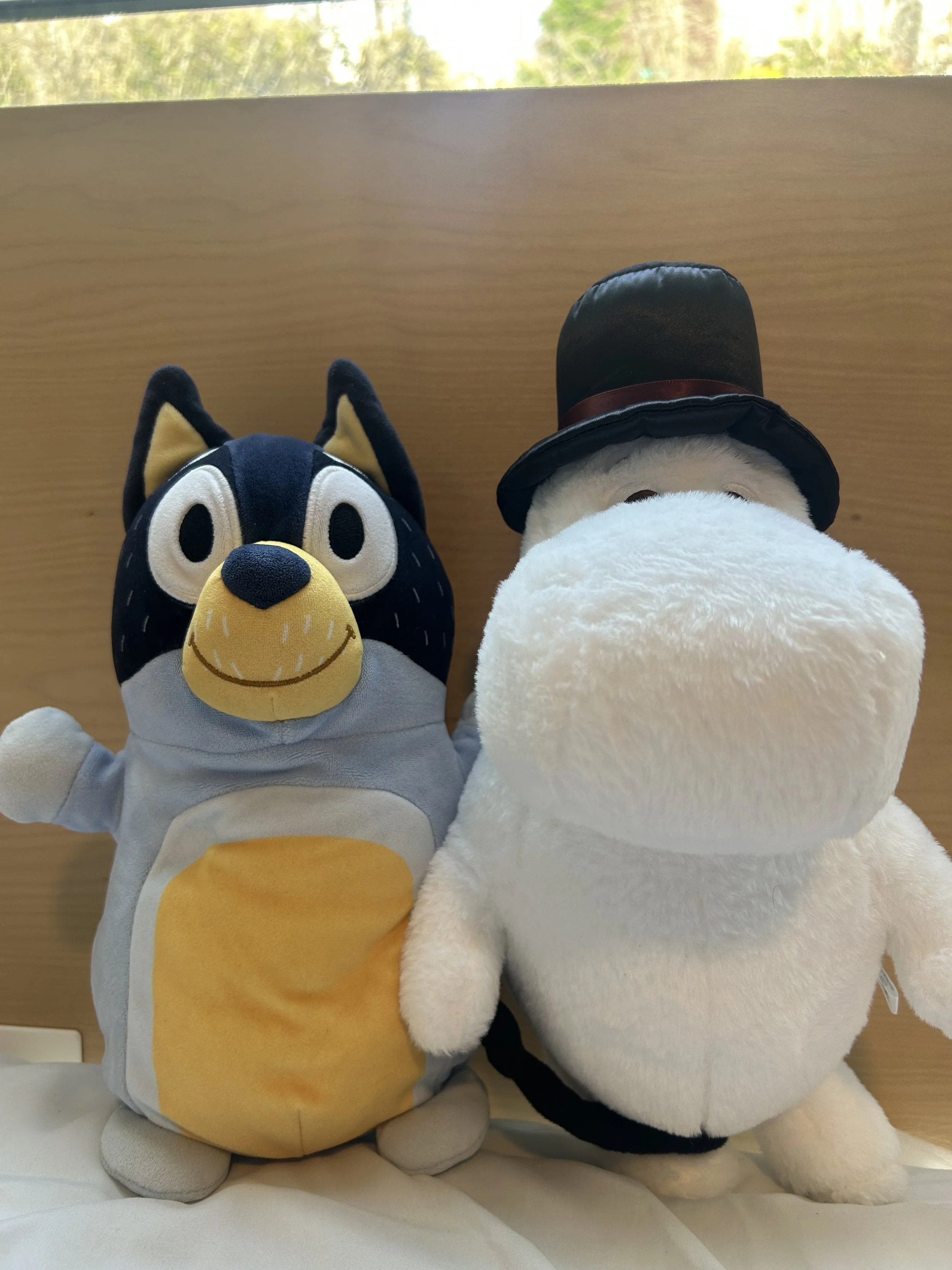IMG_8725.jpeg