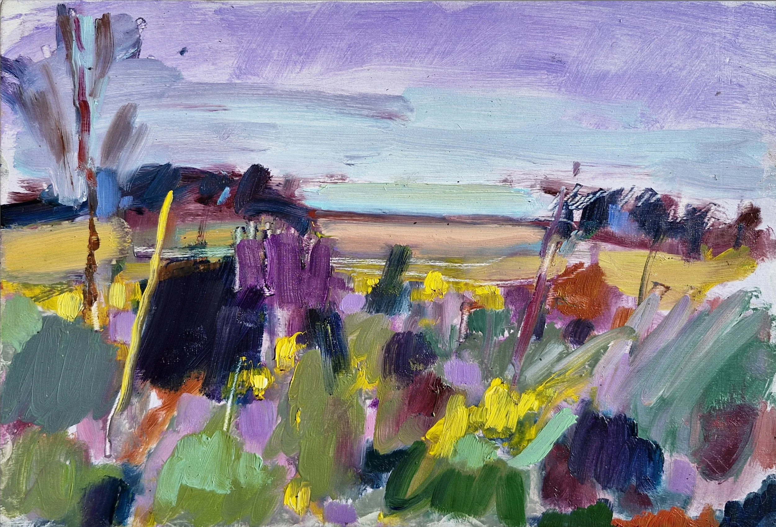 New Forest Heath.jpg