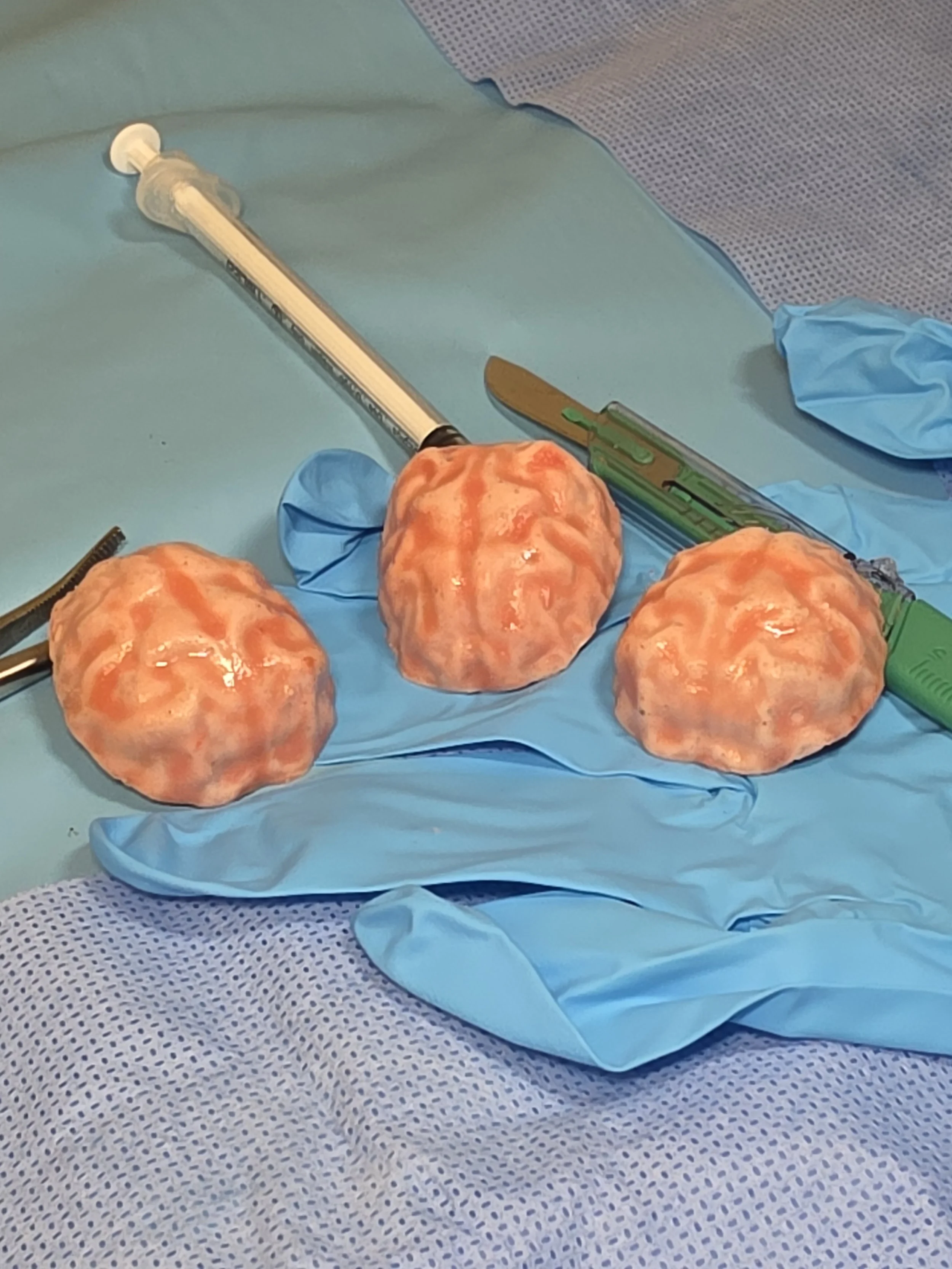 Three small chocolate brains on a blue surgical drape, surrounded by surgical tools and gloves.