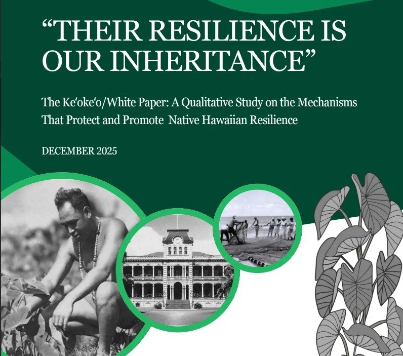 Resilience White Paper