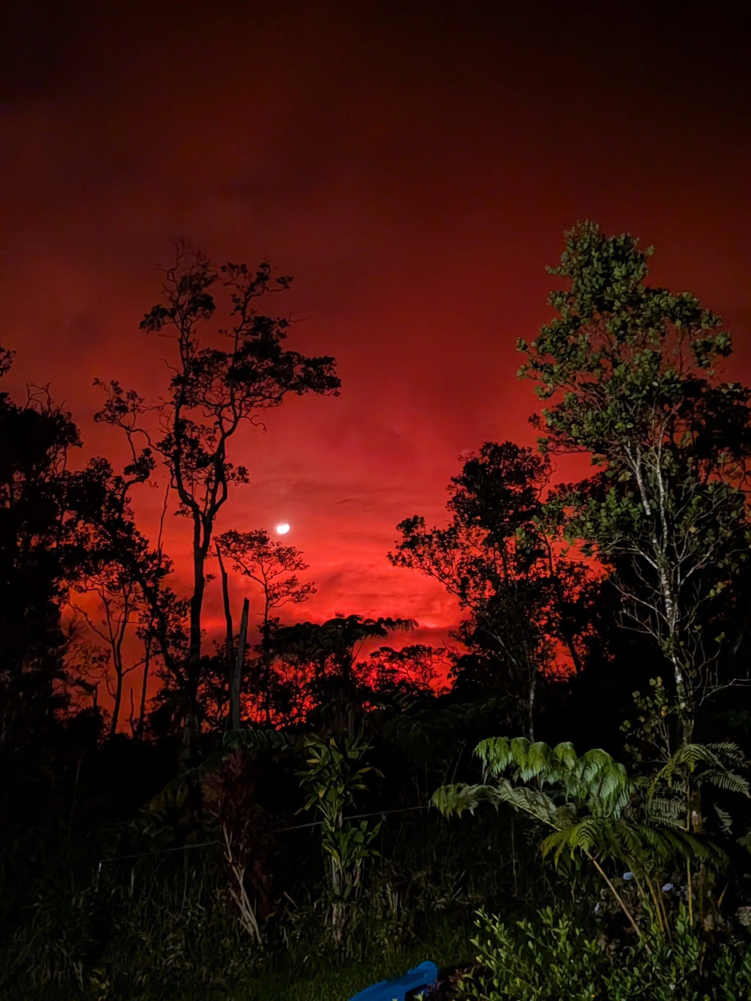 Unsiliencing the Echoes of Historical Trauma