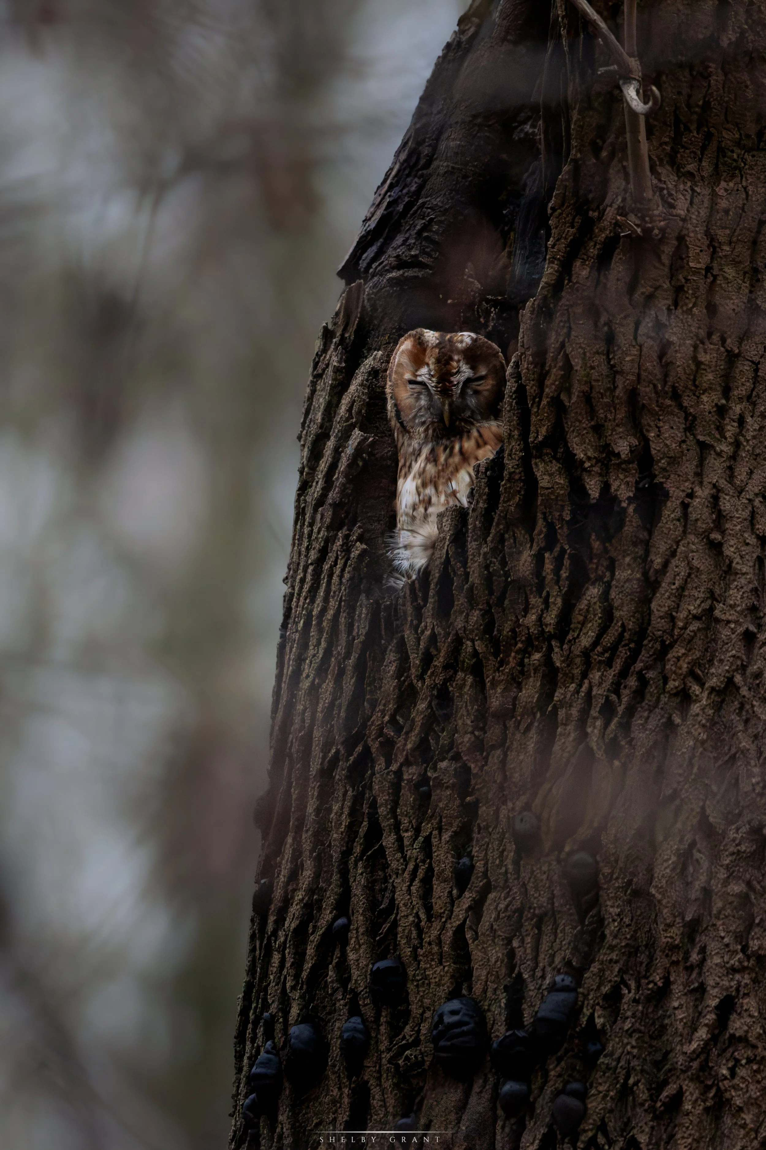 071A4760-Edit.jpg