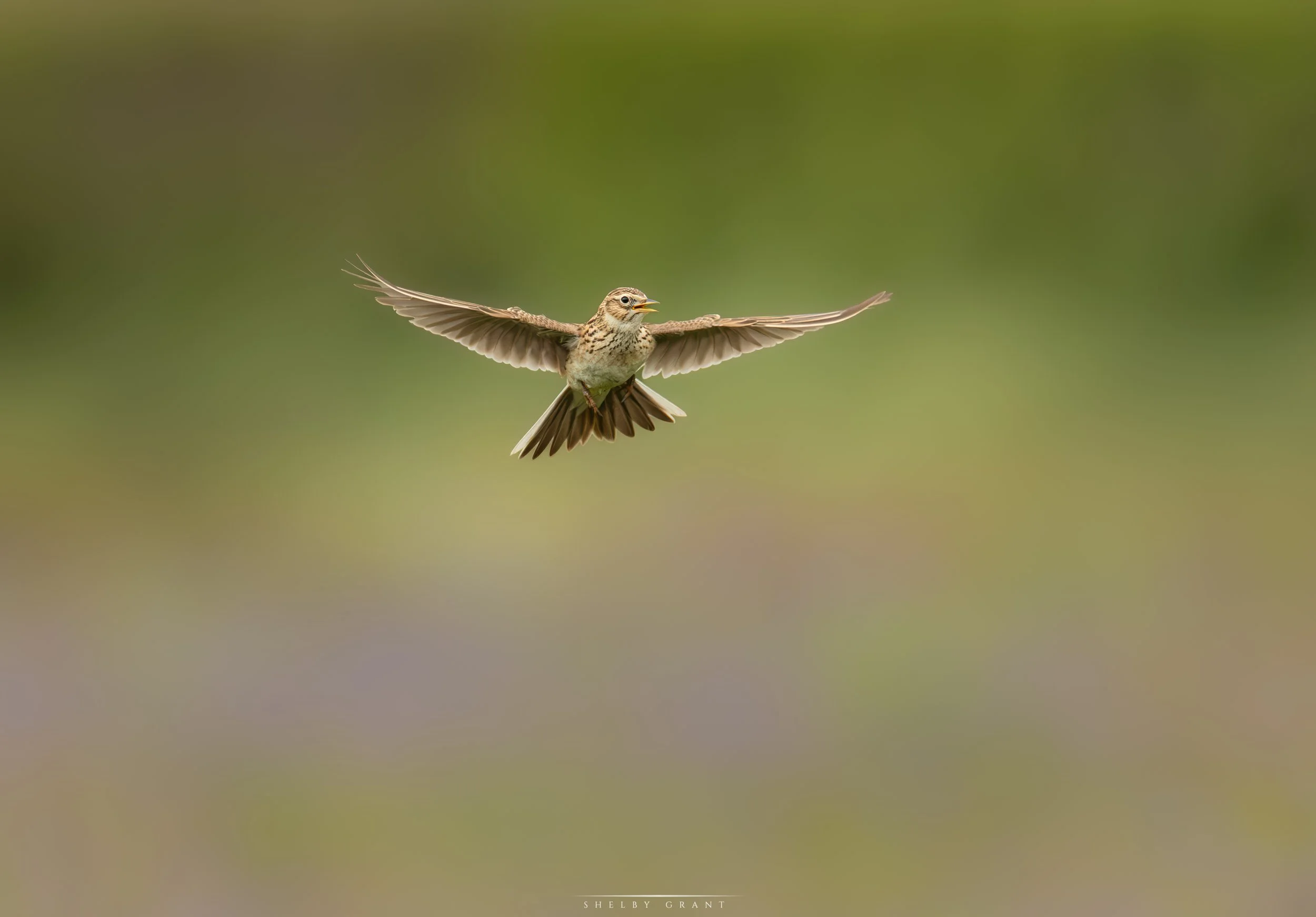 071A9552-Edit.jpg