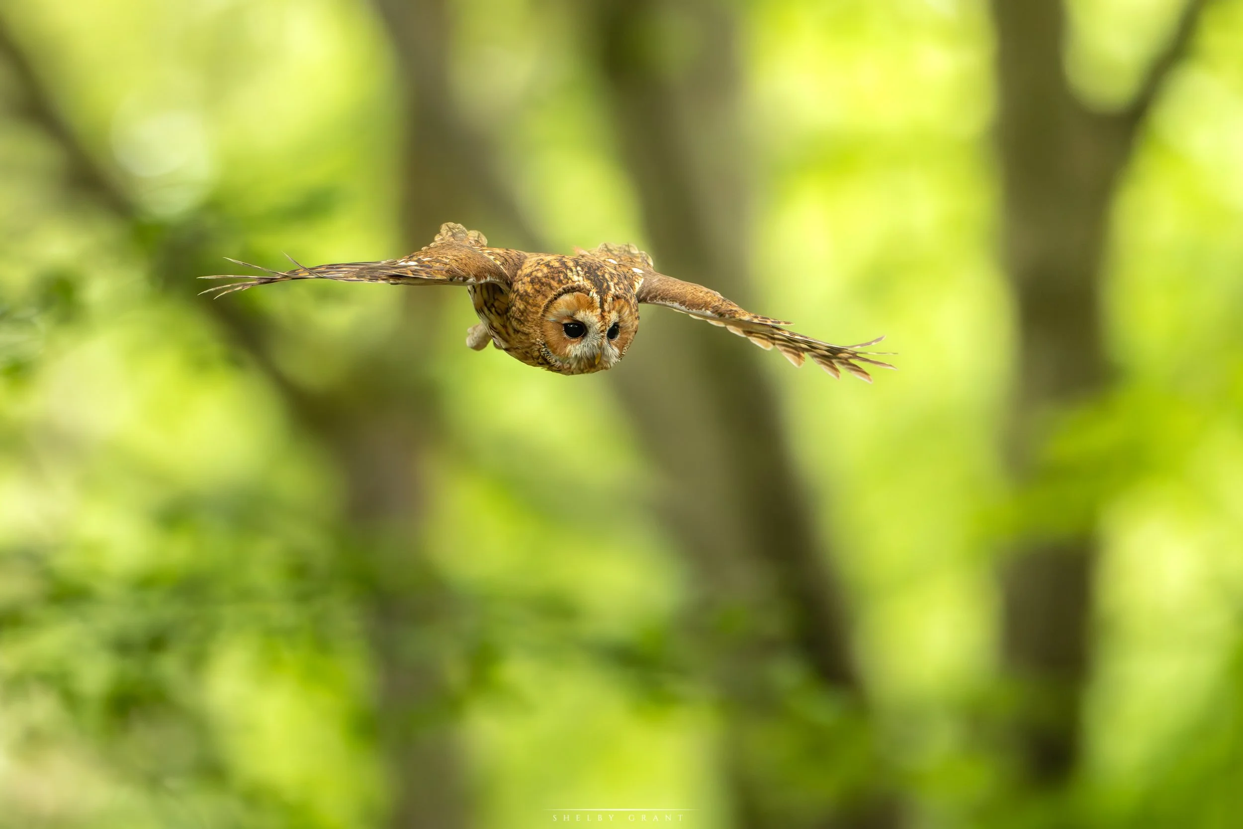 071A8183-Edit.jpg