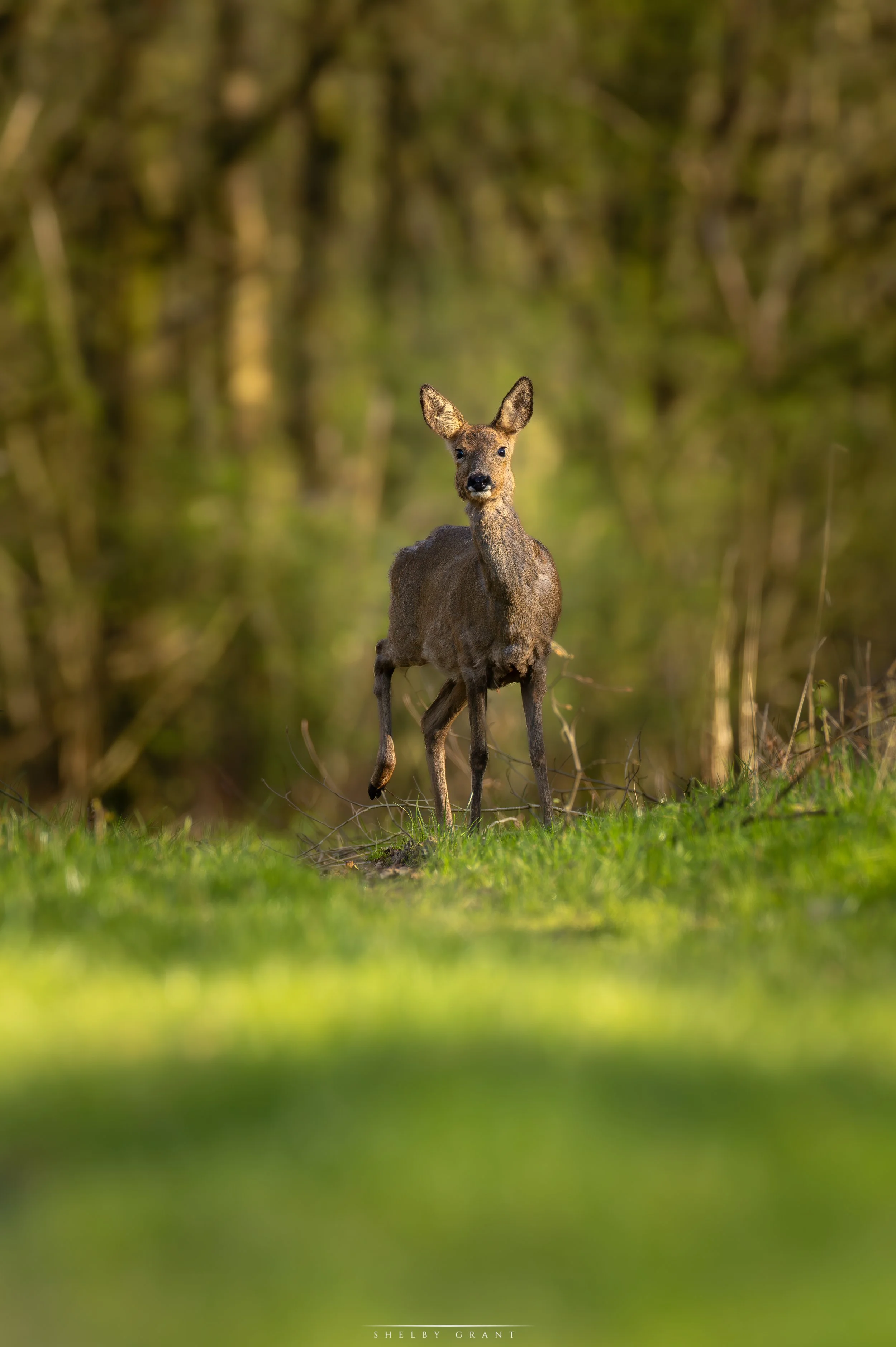 071A4165-Edit-2.jpg