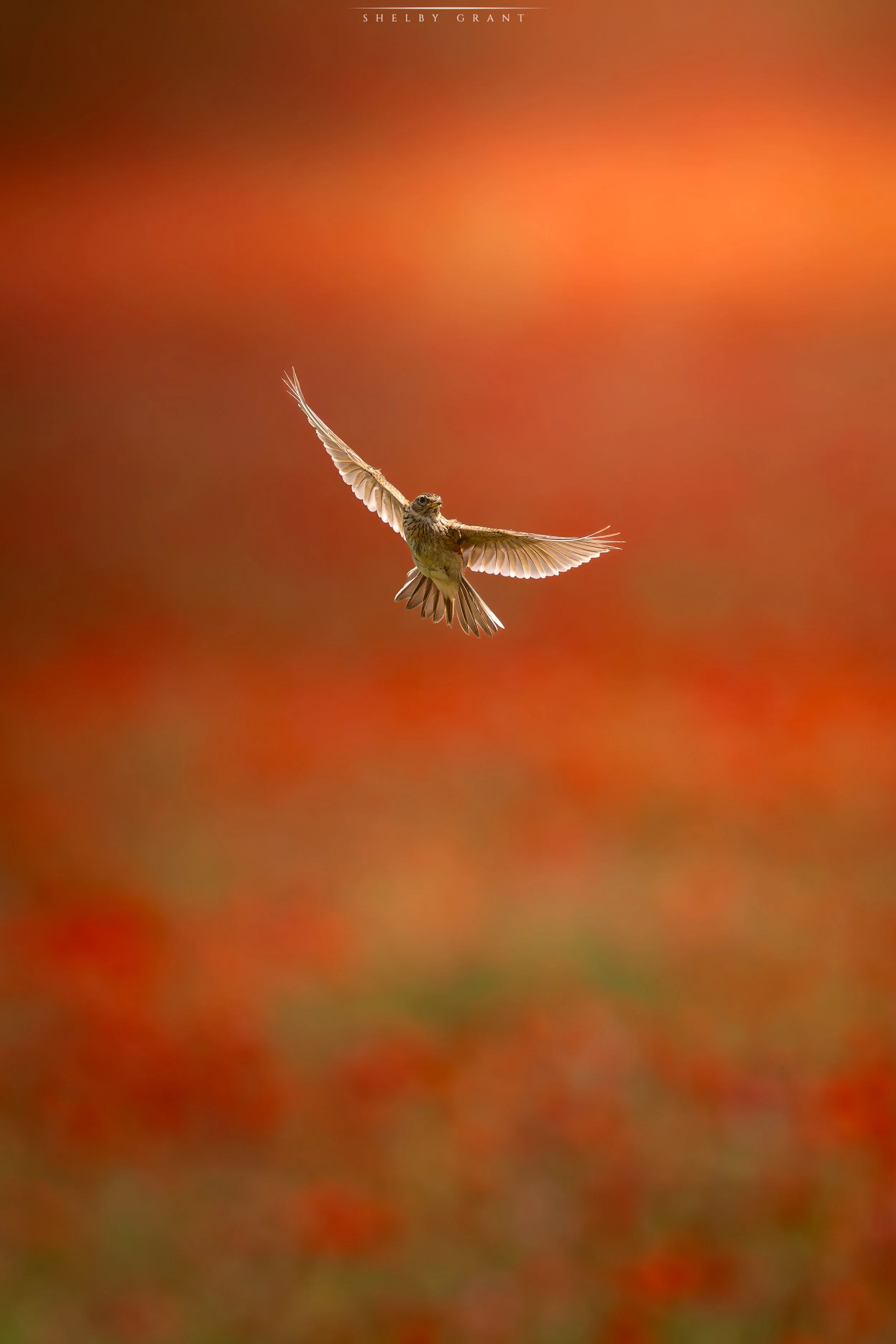 071A9572-Edit.jpg