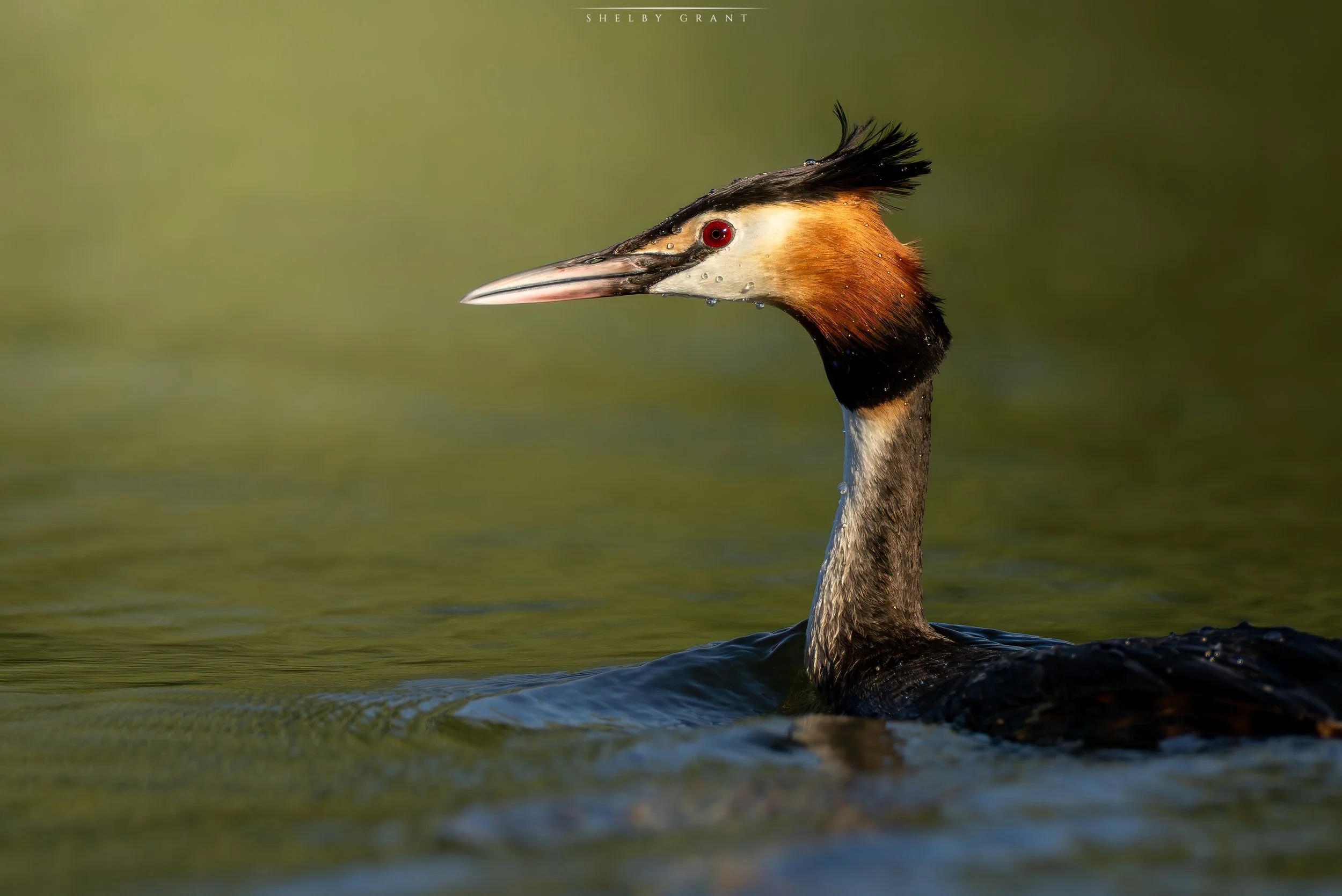 071A7029-Edit.jpg