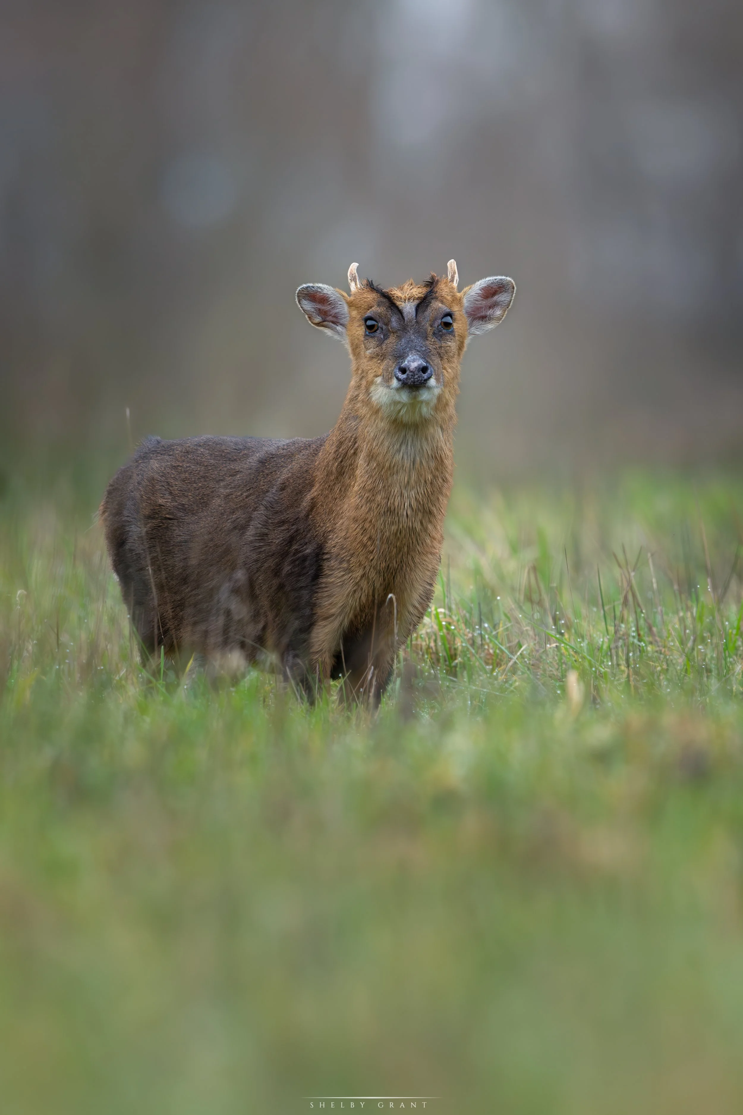 071A9866-Edit.jpg