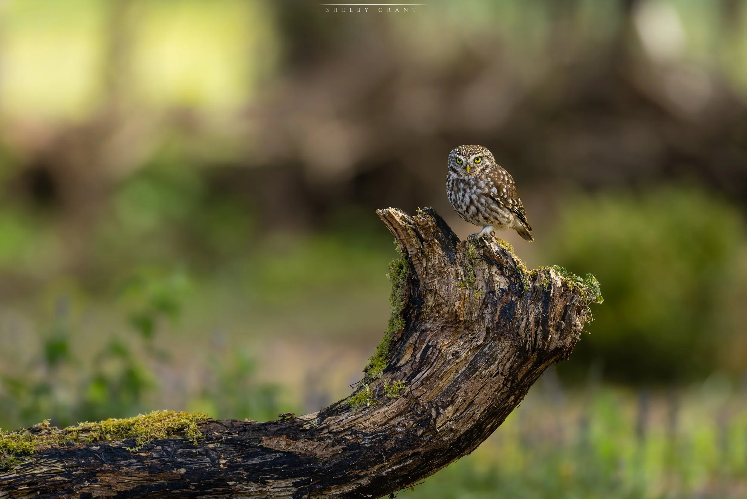 071A1430-Edit.jpg
