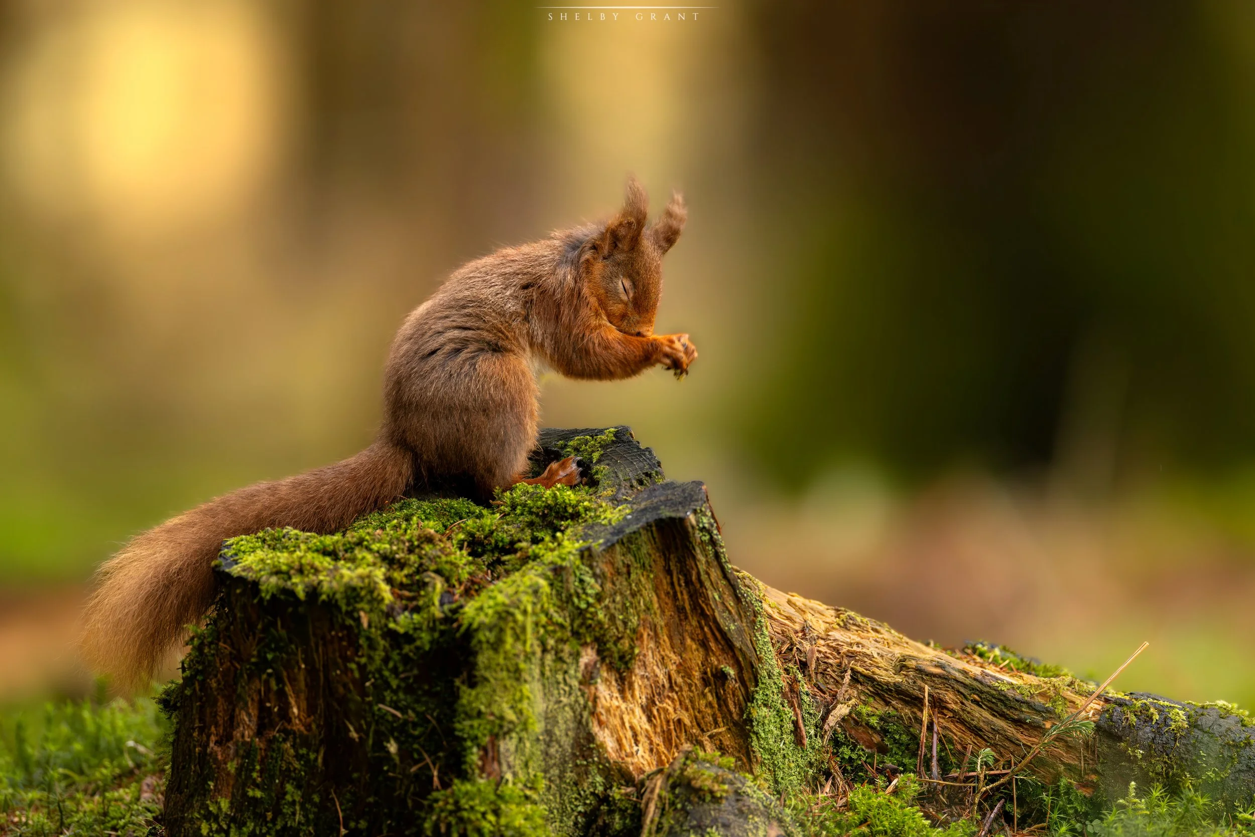 071A9542-Edit-2-2.jpg