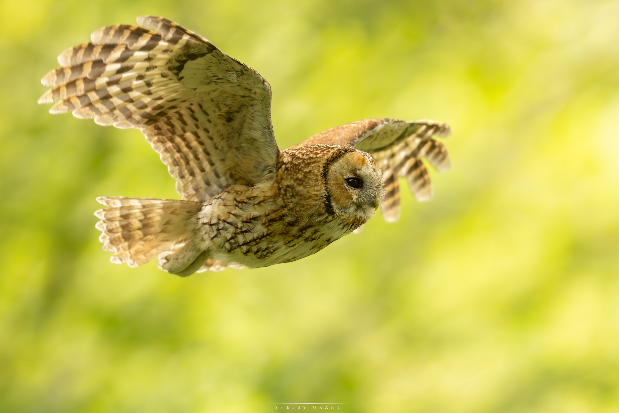 071A4642-Edit.jpg